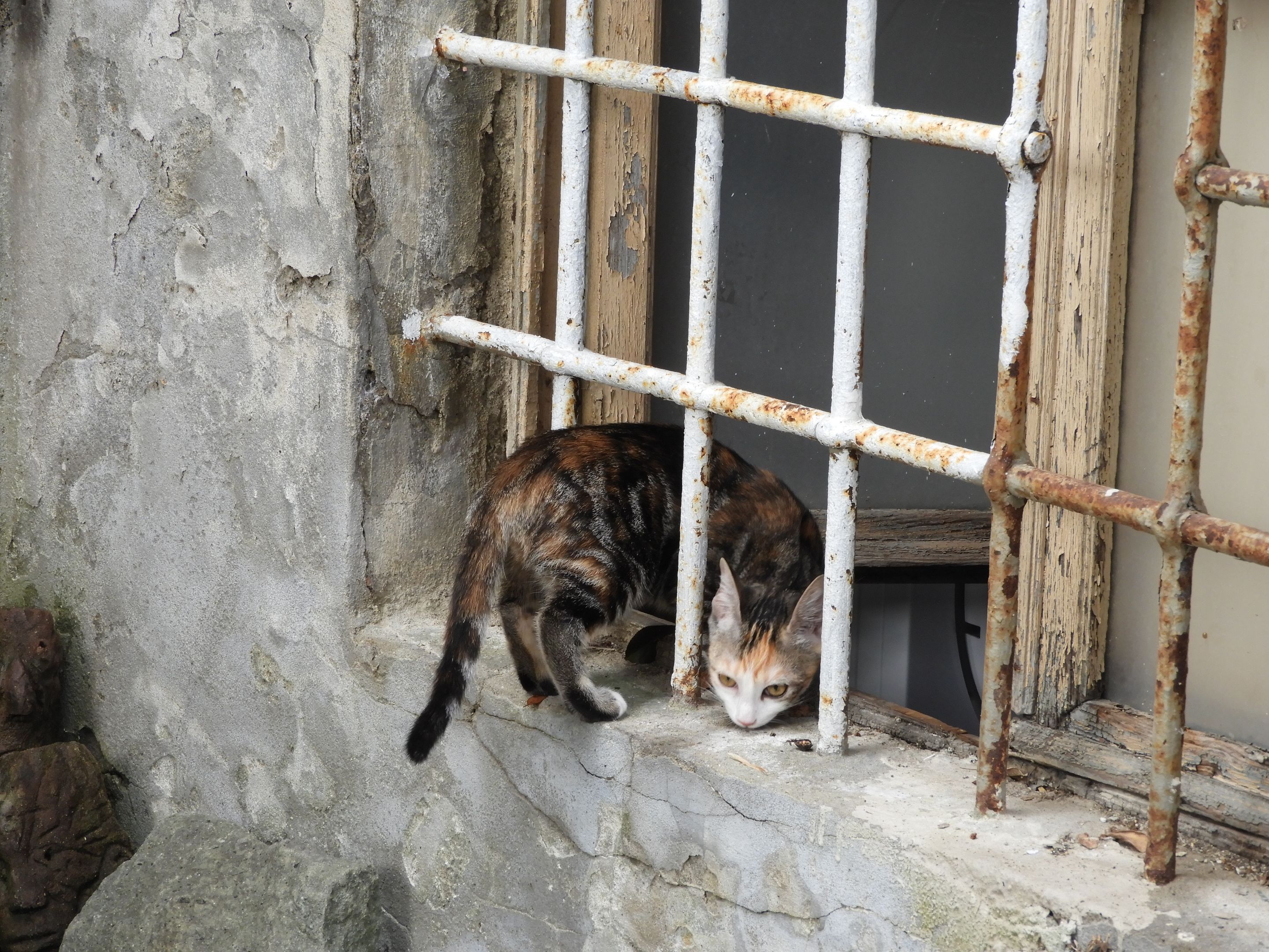 DSCN6138.JPG