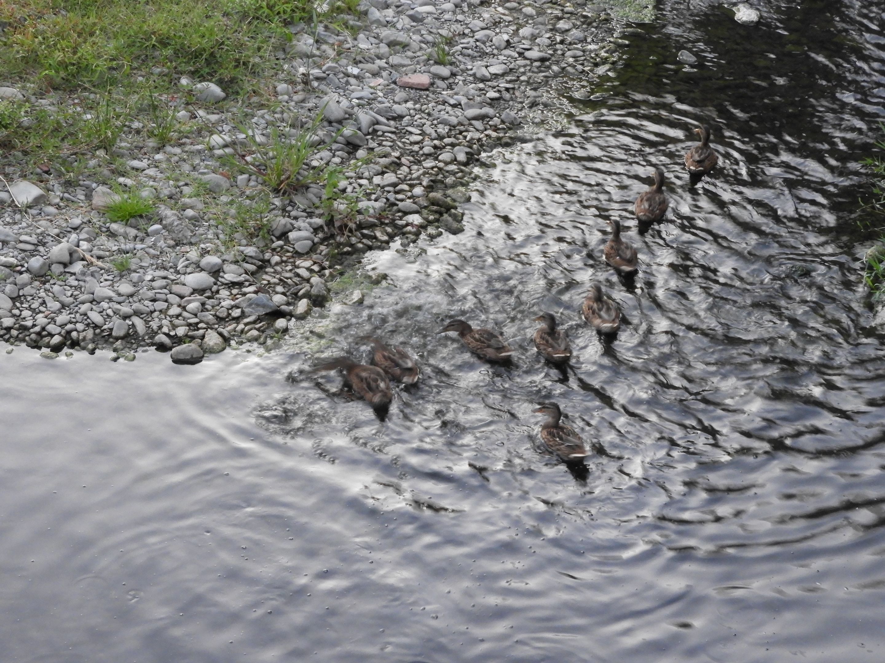 DSCN5975.JPG