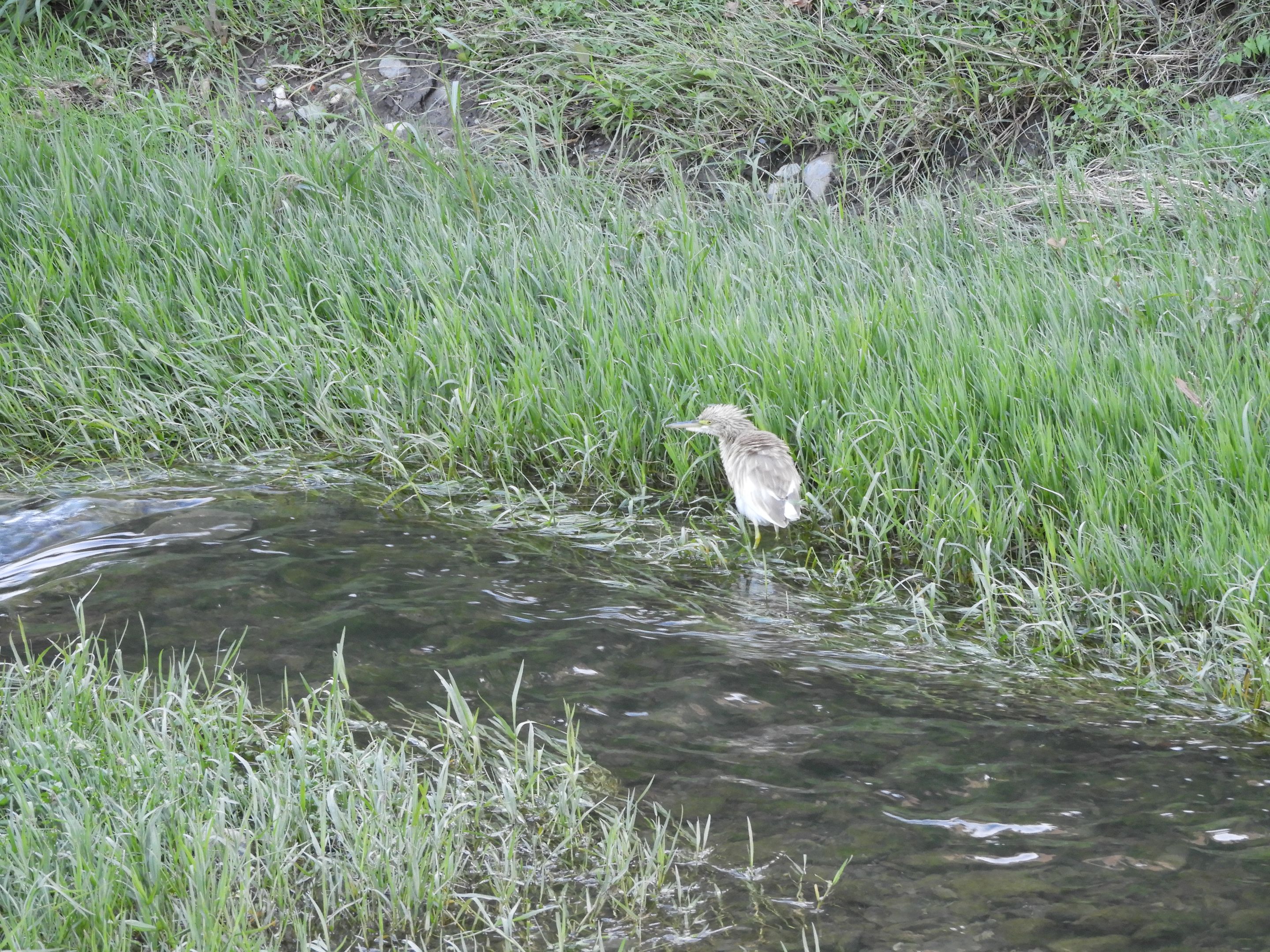 DSCN6354.JPG