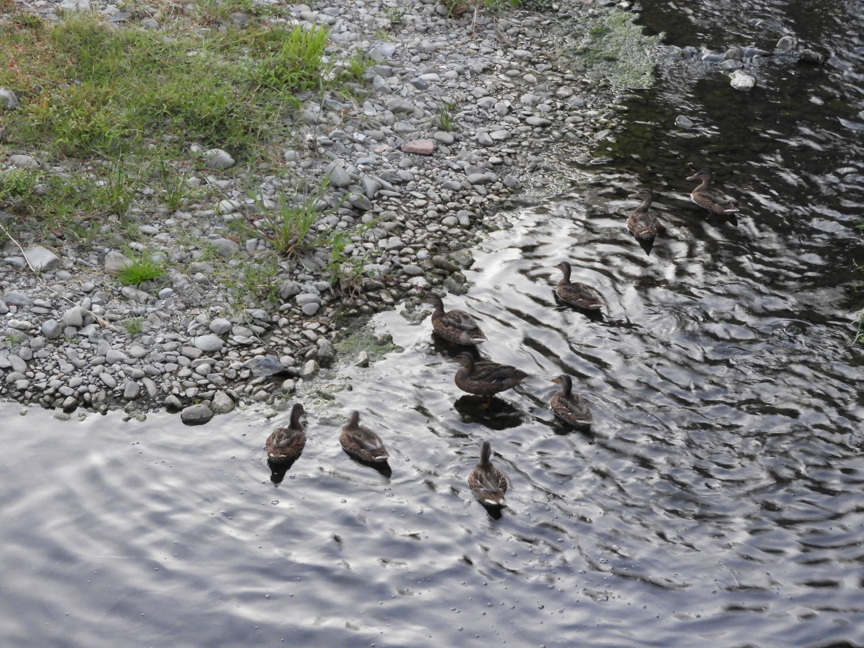 DSCN5976.JPG