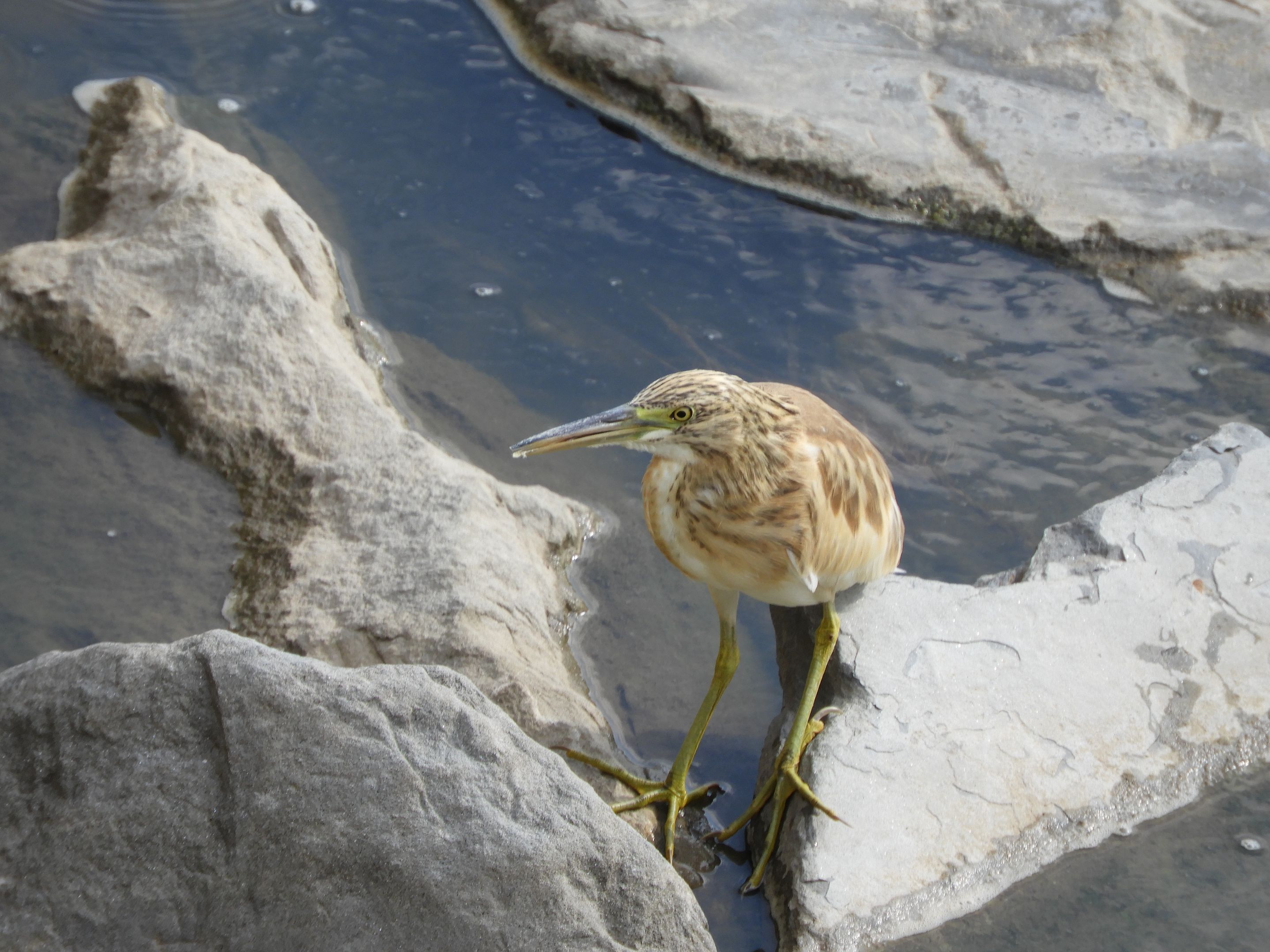 DSCN6176.JPG