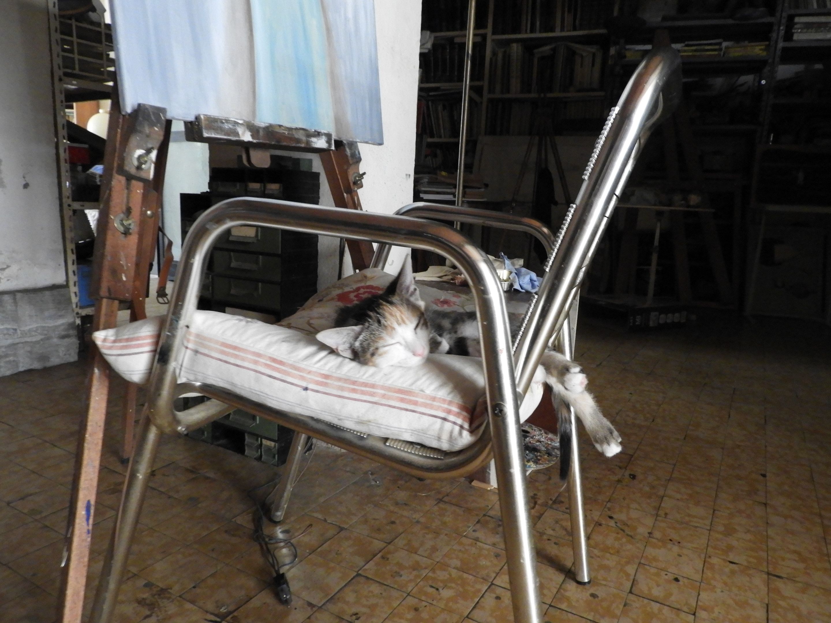 DSCN5466.JPG