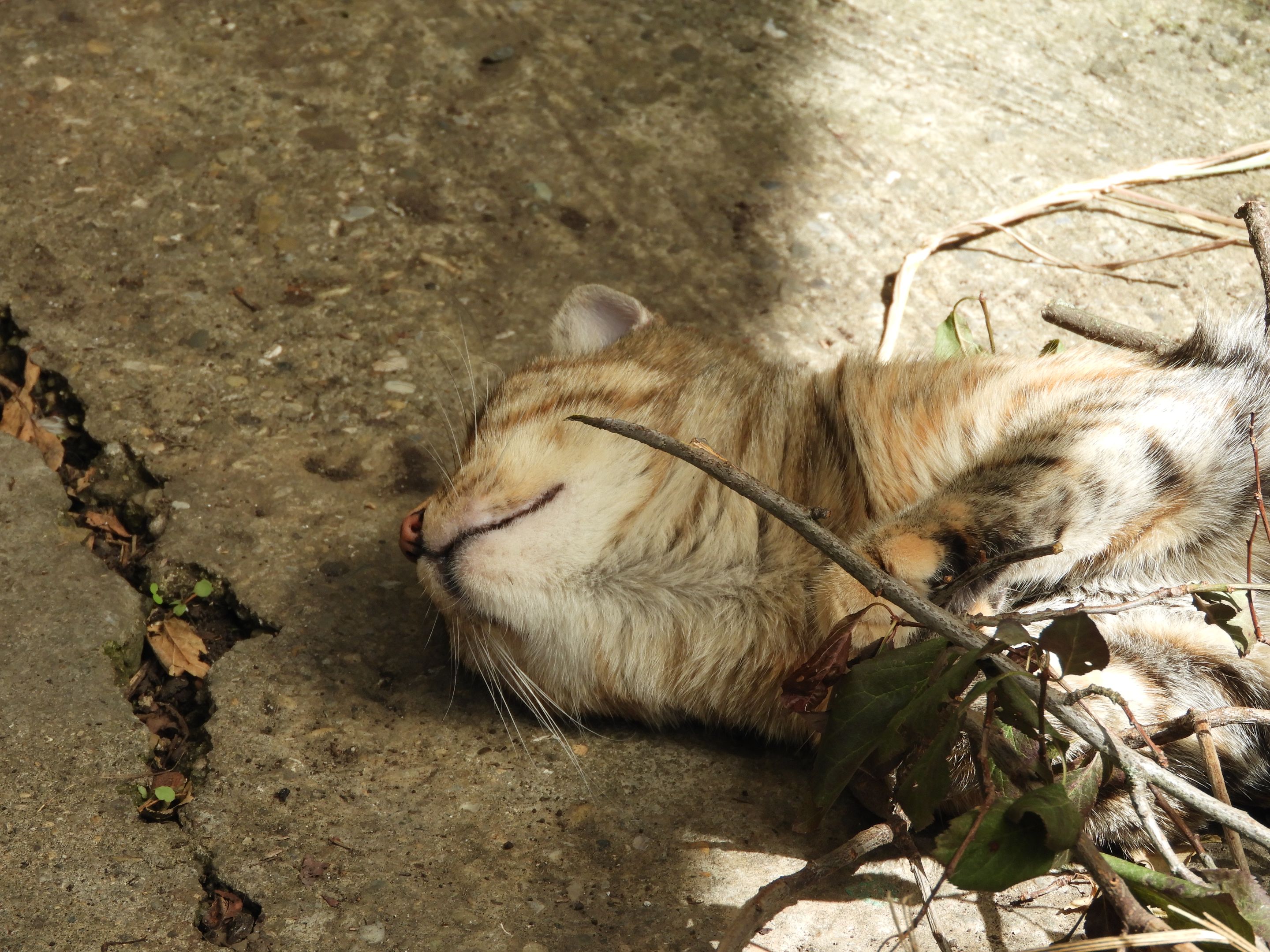 DSCN6446.JPG