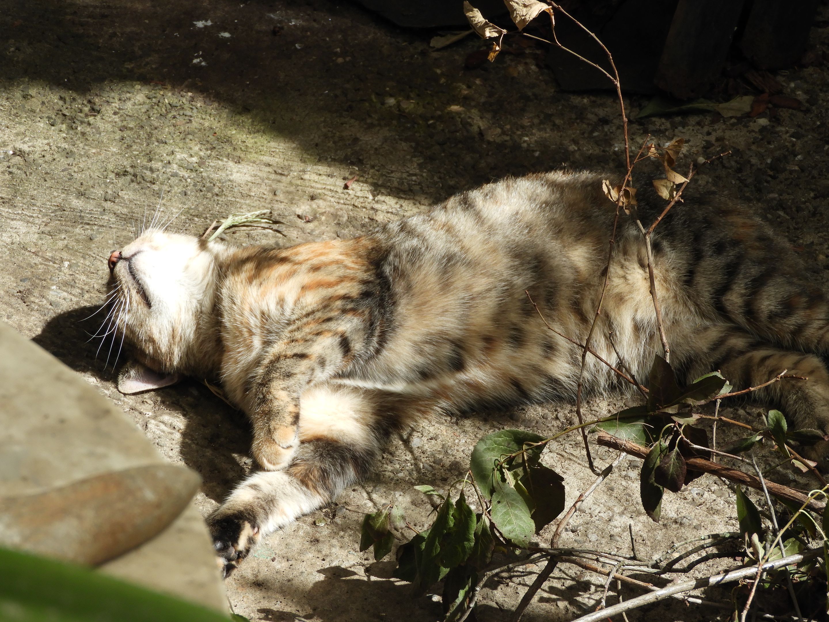 DSCN6430.JPG