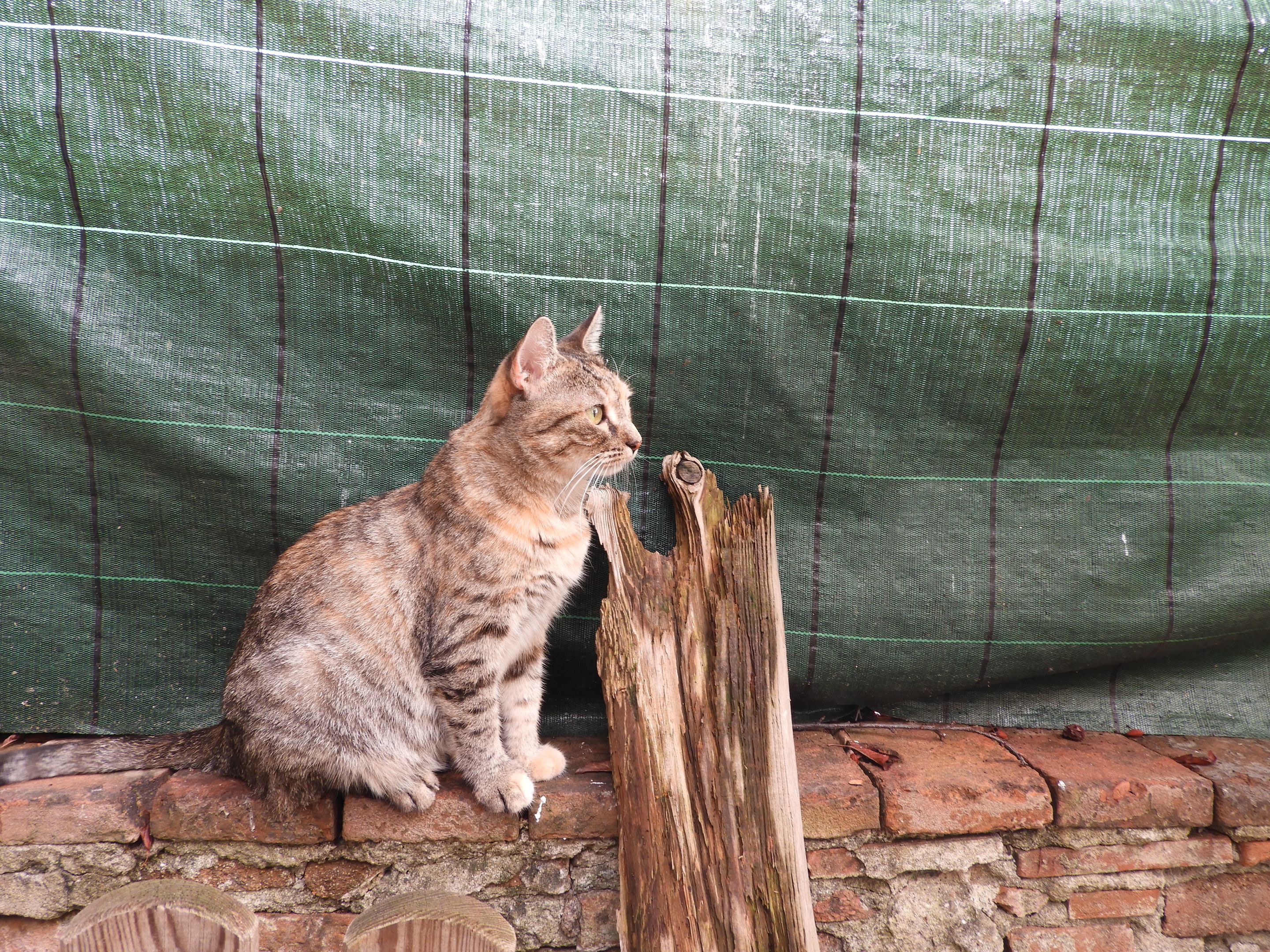 DSCN6125.JPG