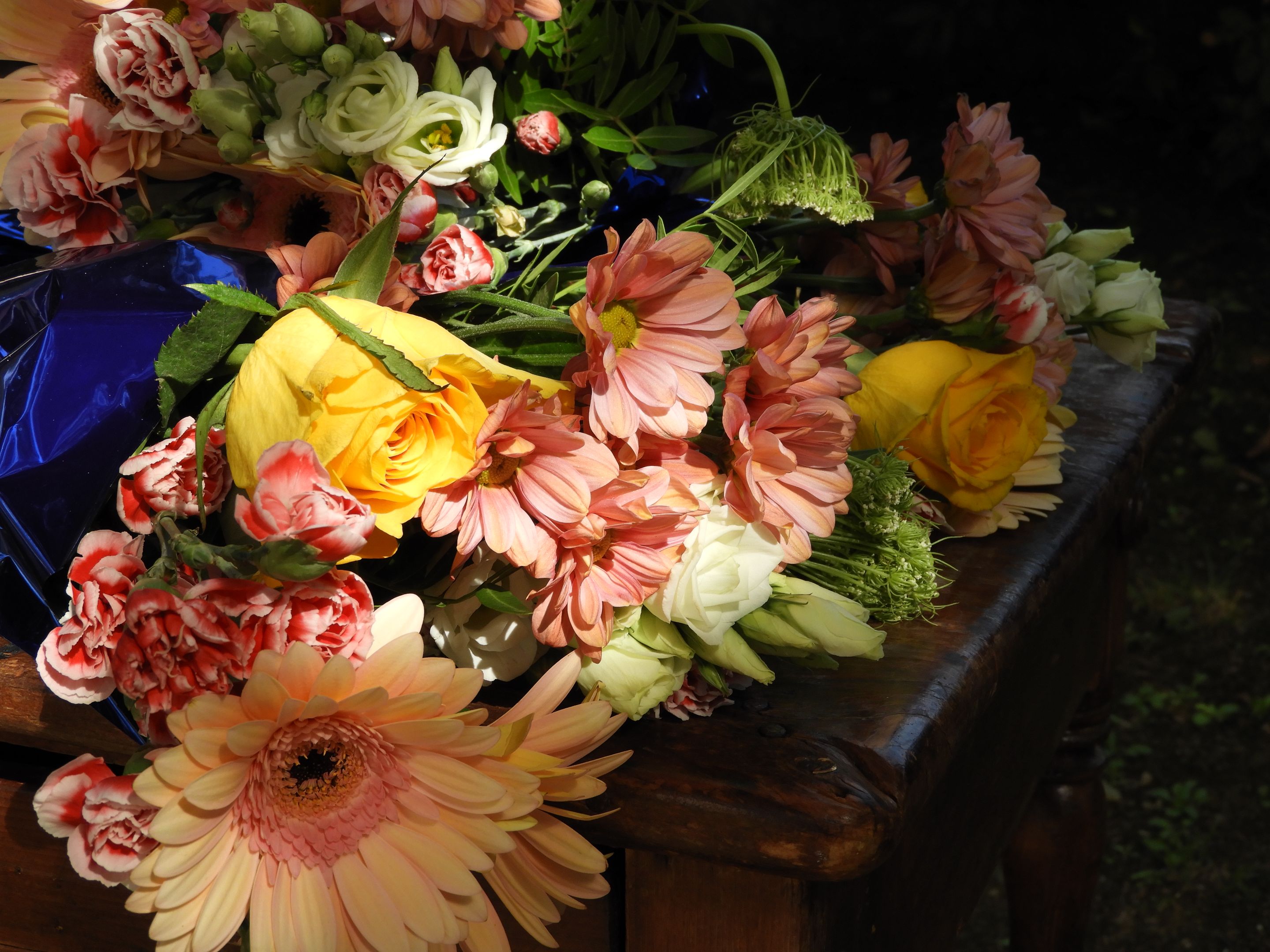 DSCN6516.JPG