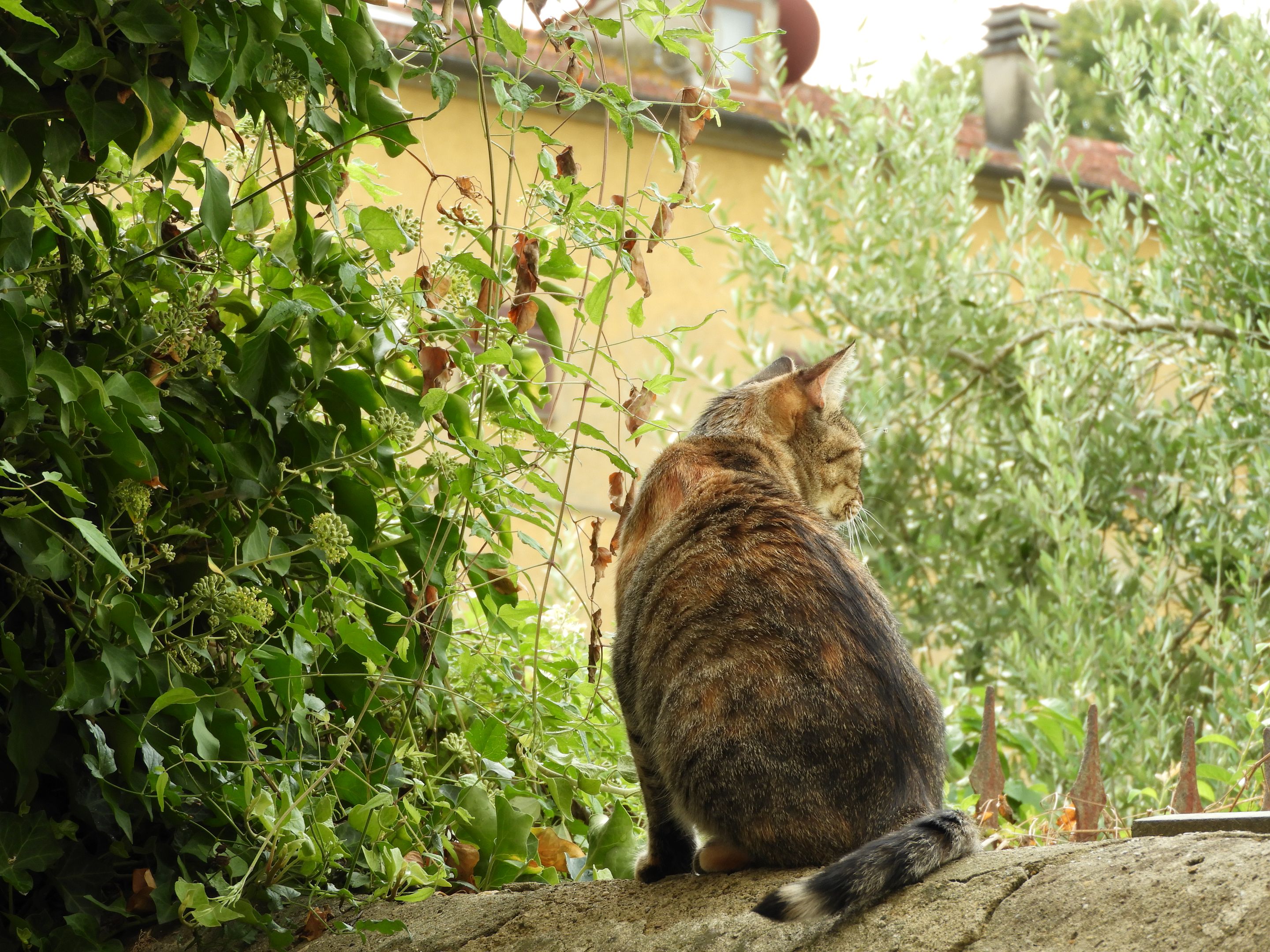 DSCN6162.JPG
