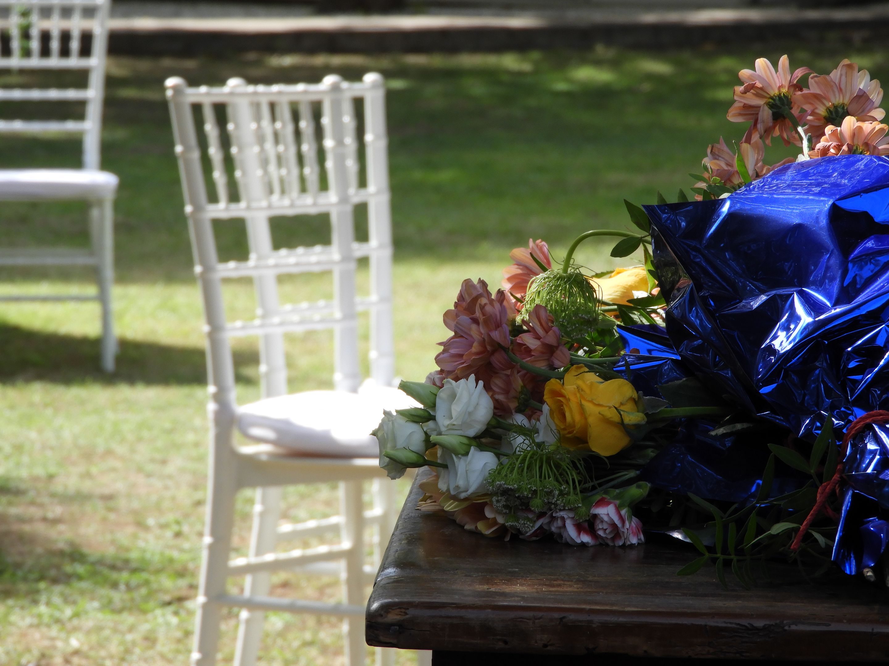 DSCN6519.JPG
