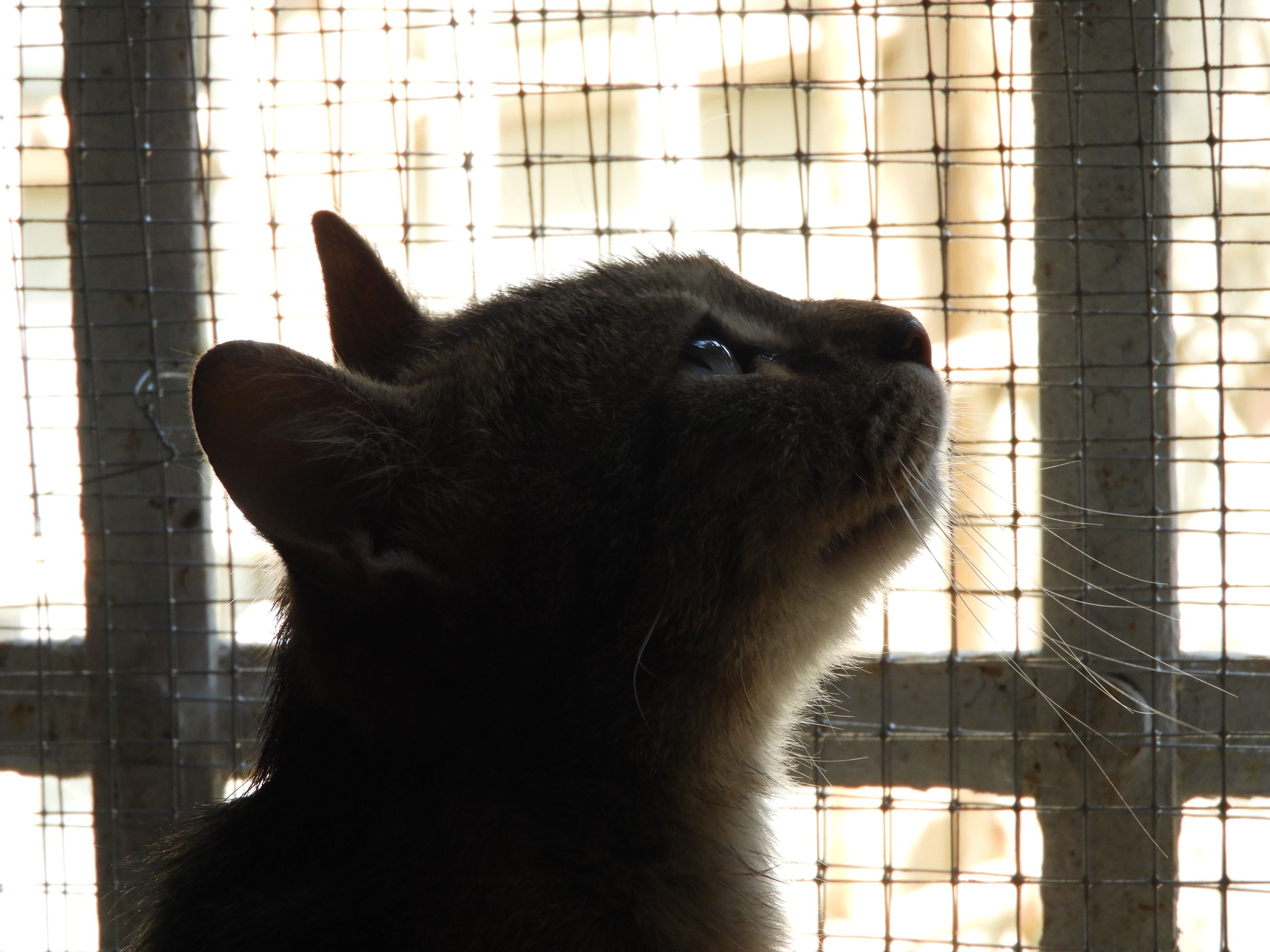 DSCN5243.JPG