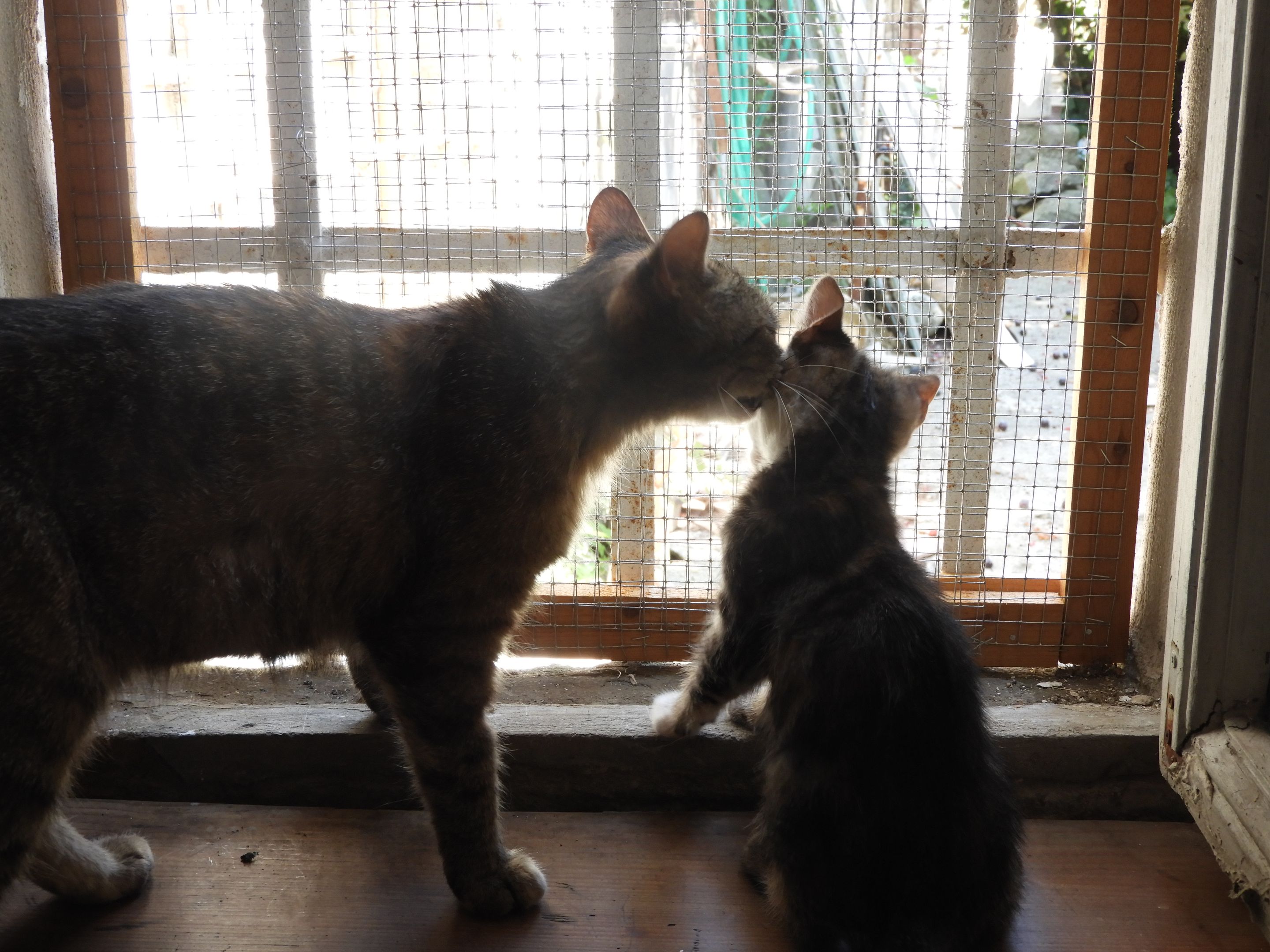 DSCN5215.JPG