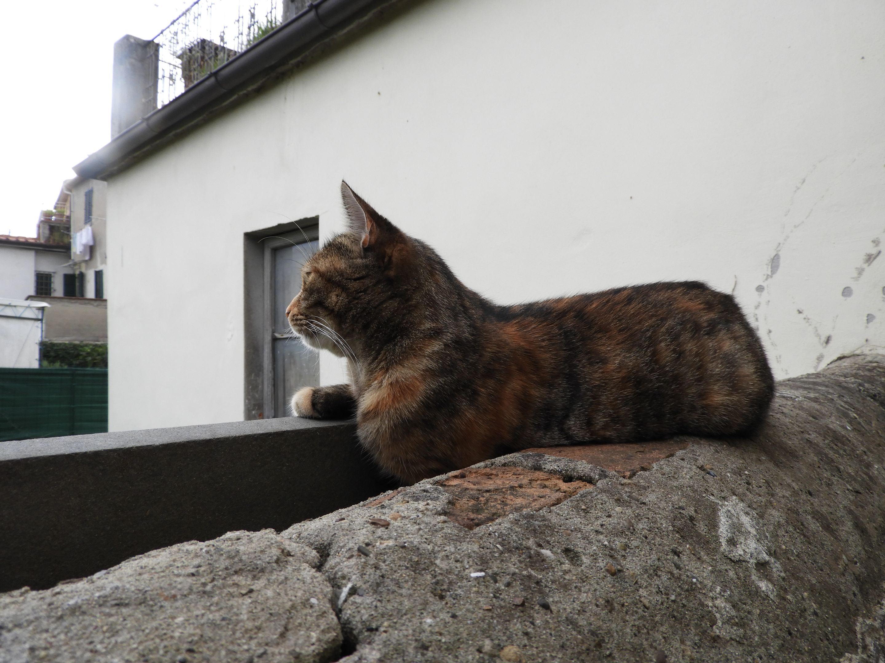 DSCN7014.JPG