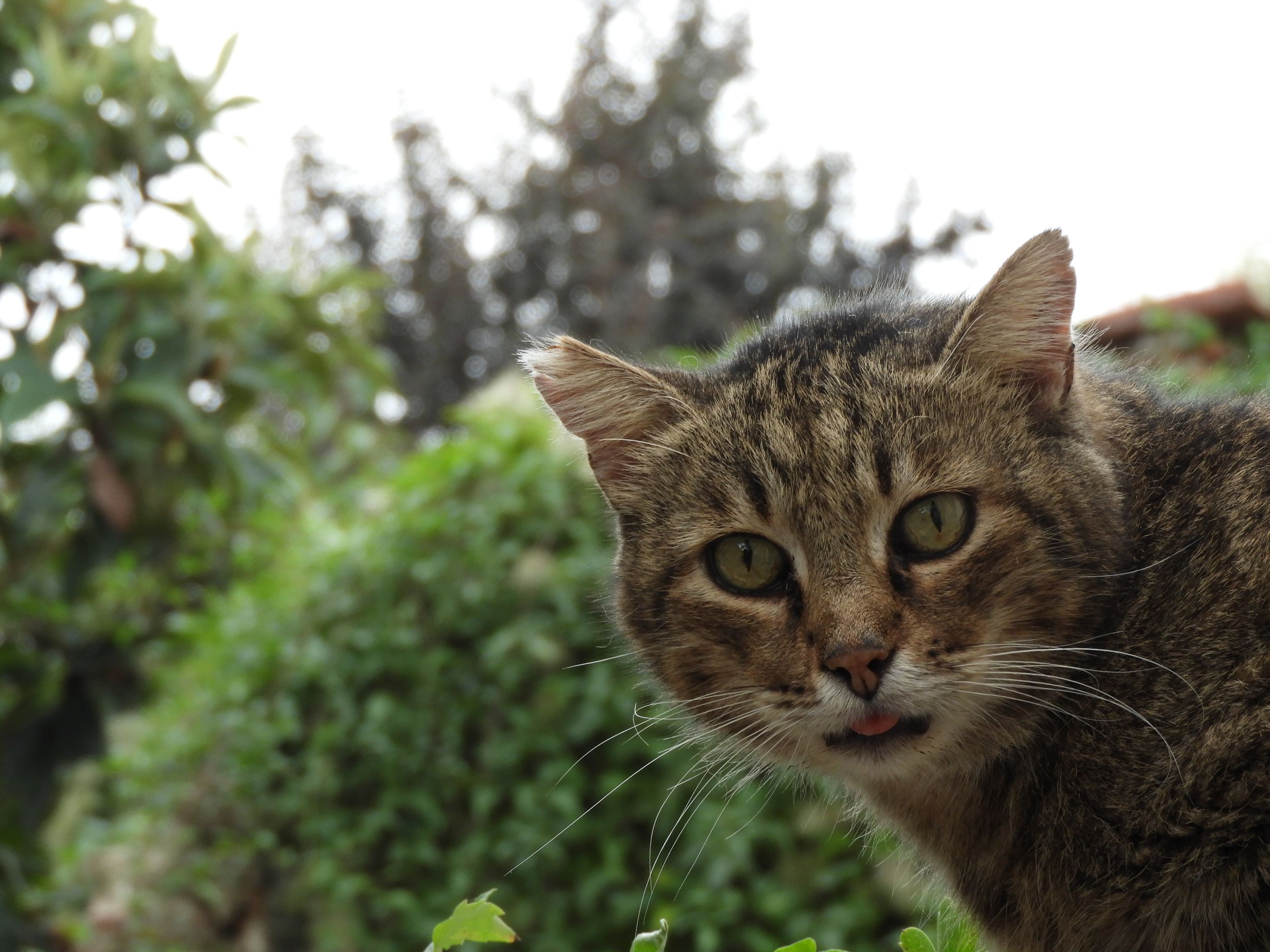 DSCN5230.JPG