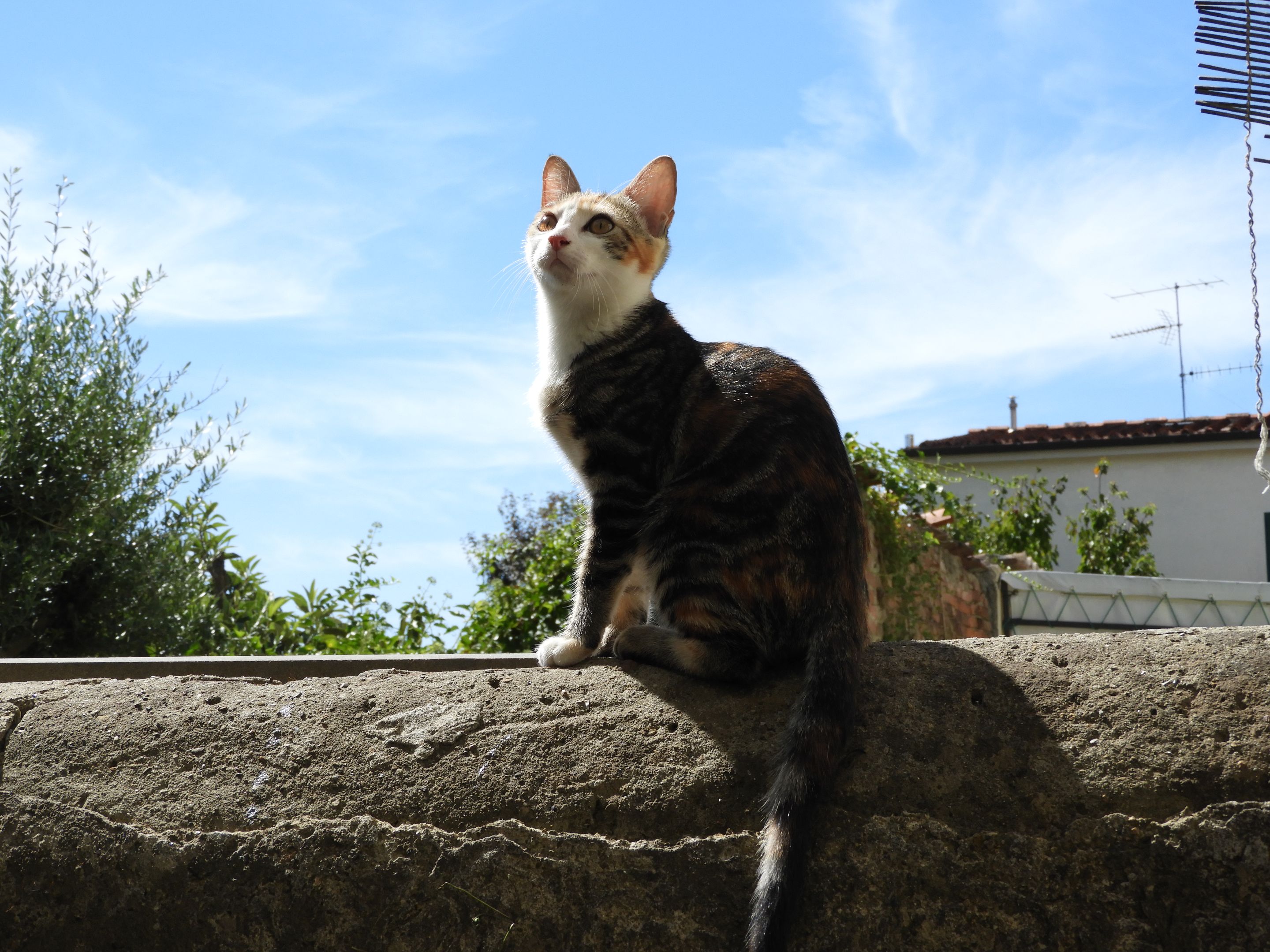 DSCN6449.JPG