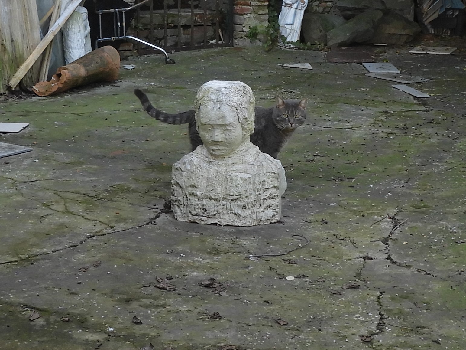 DSCN1695 2.JPG