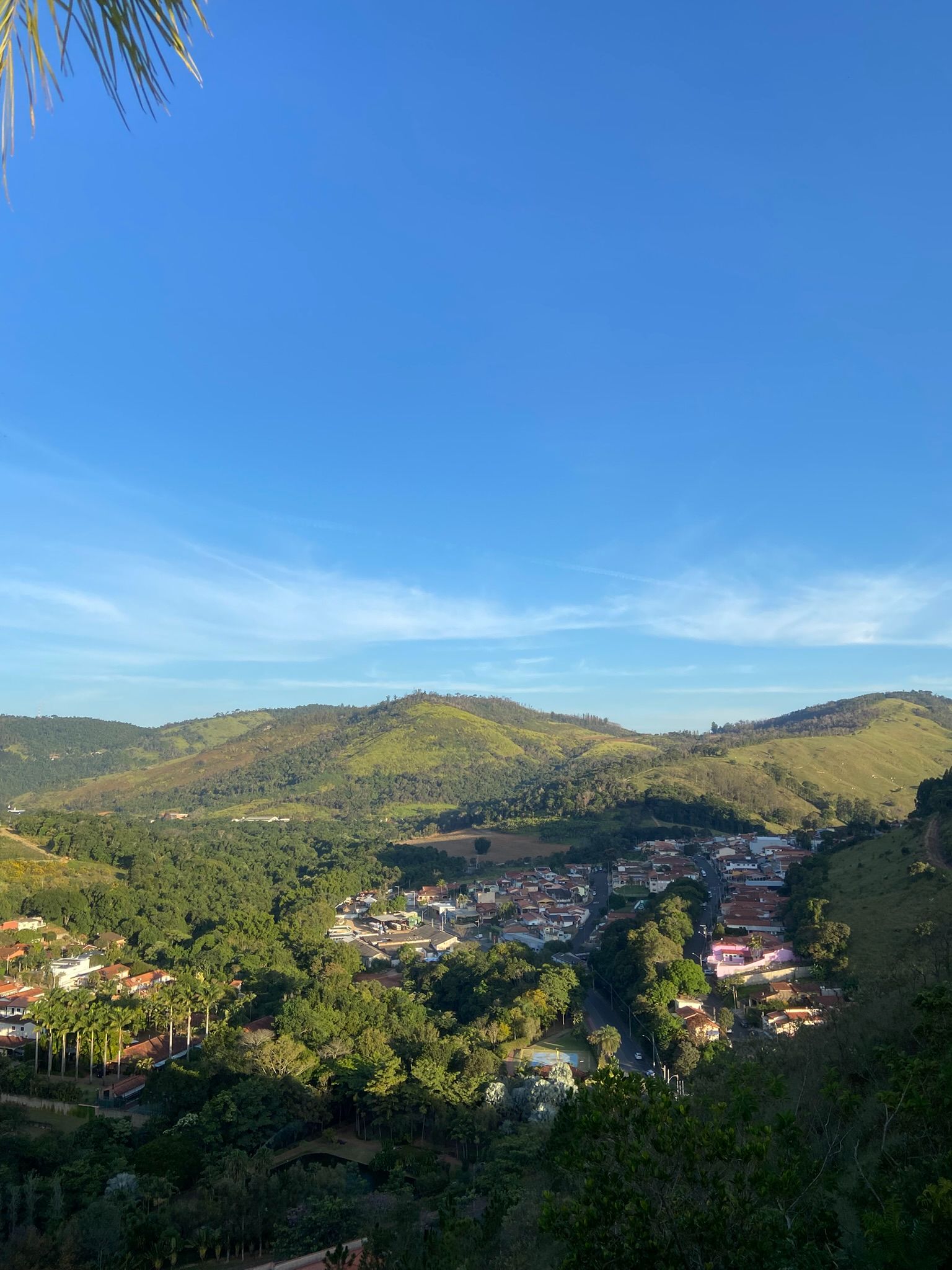 IMG_9197.JPEG