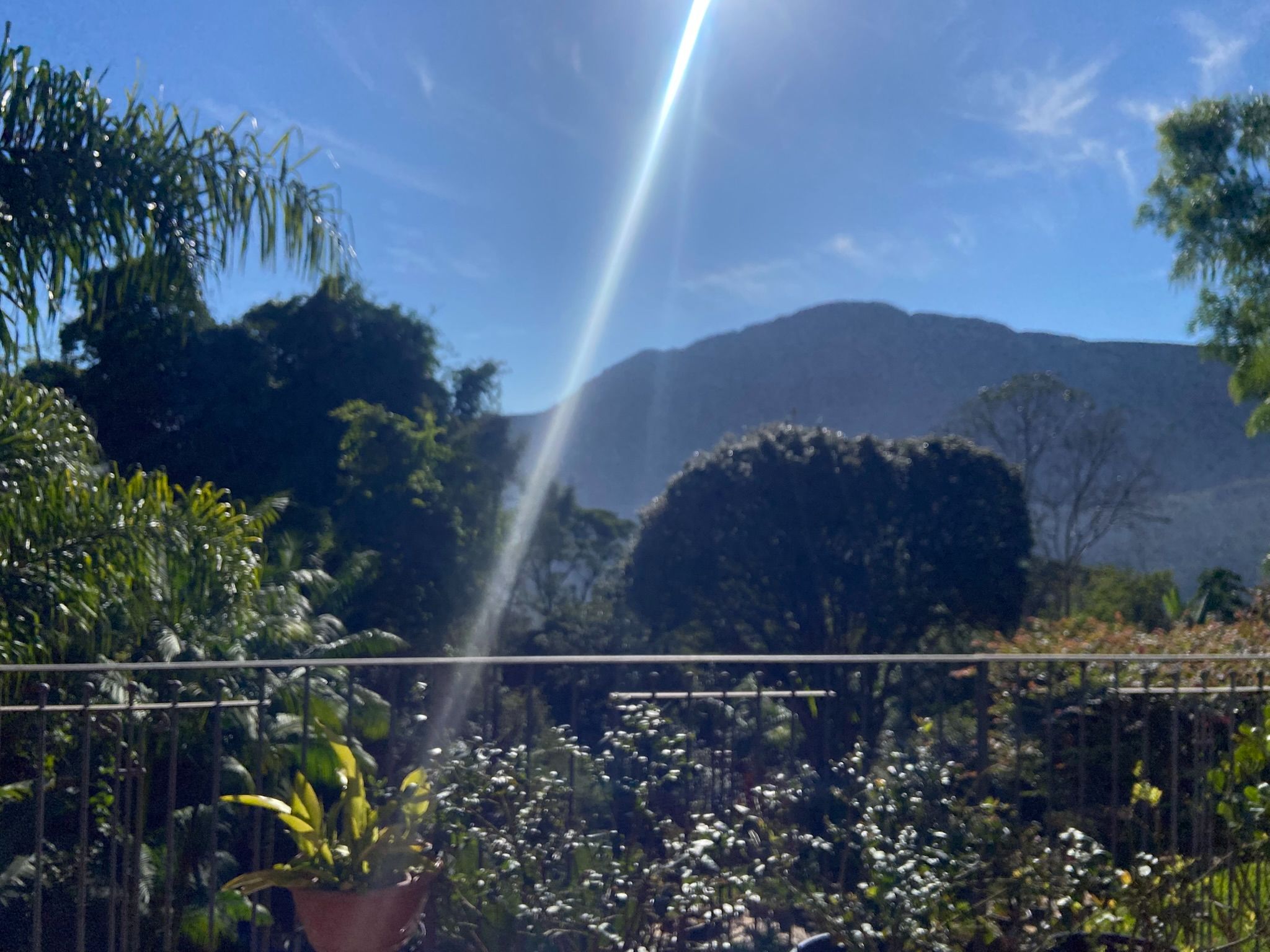 IMG_9687.JPEG