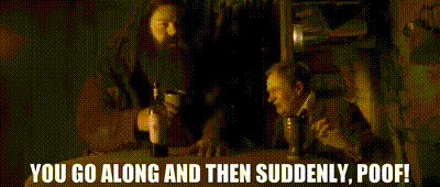634bda13-563a-4201-ad54-a052f8a71f32_text.gif