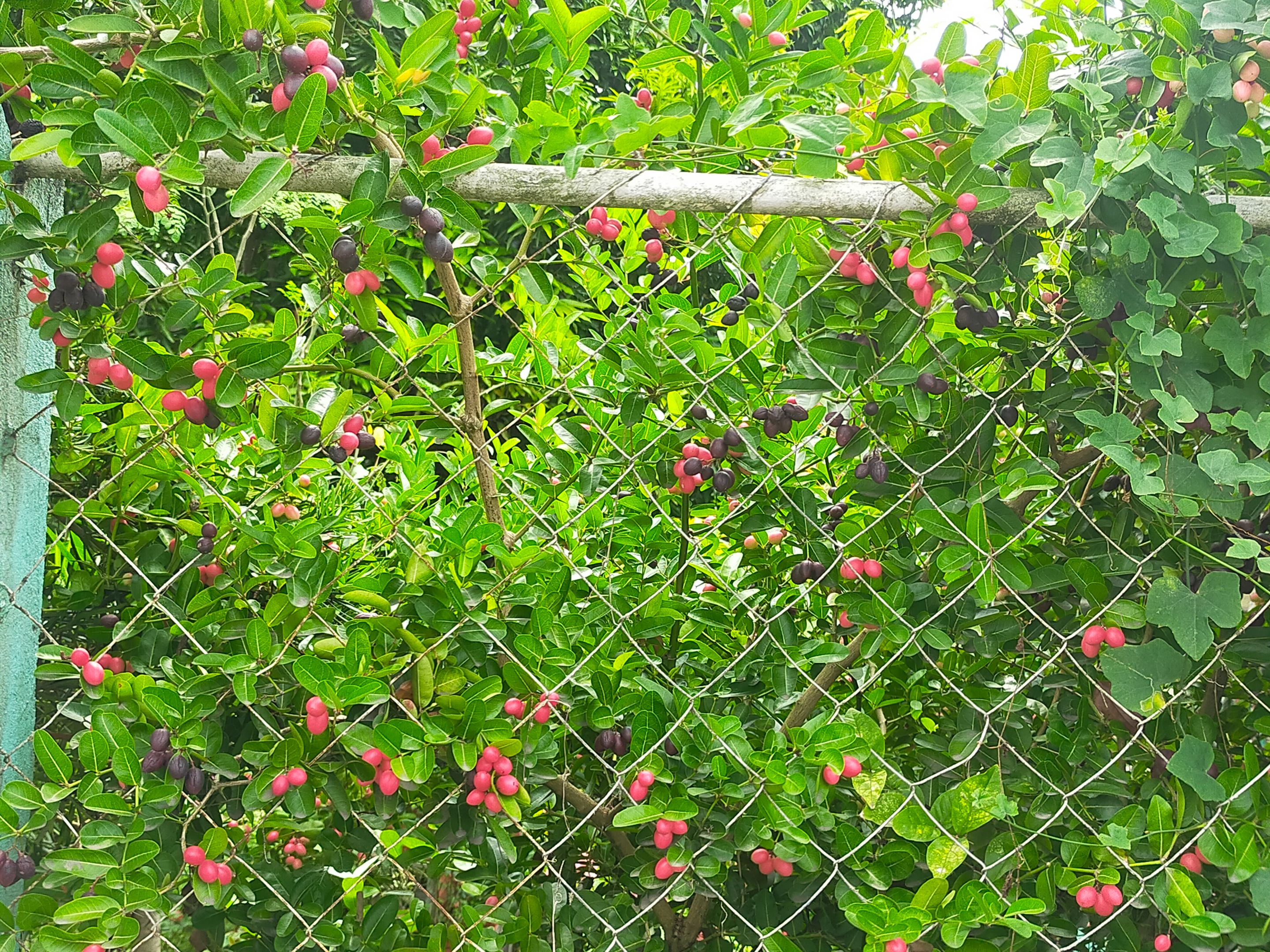 IMG20230821133754.jpg