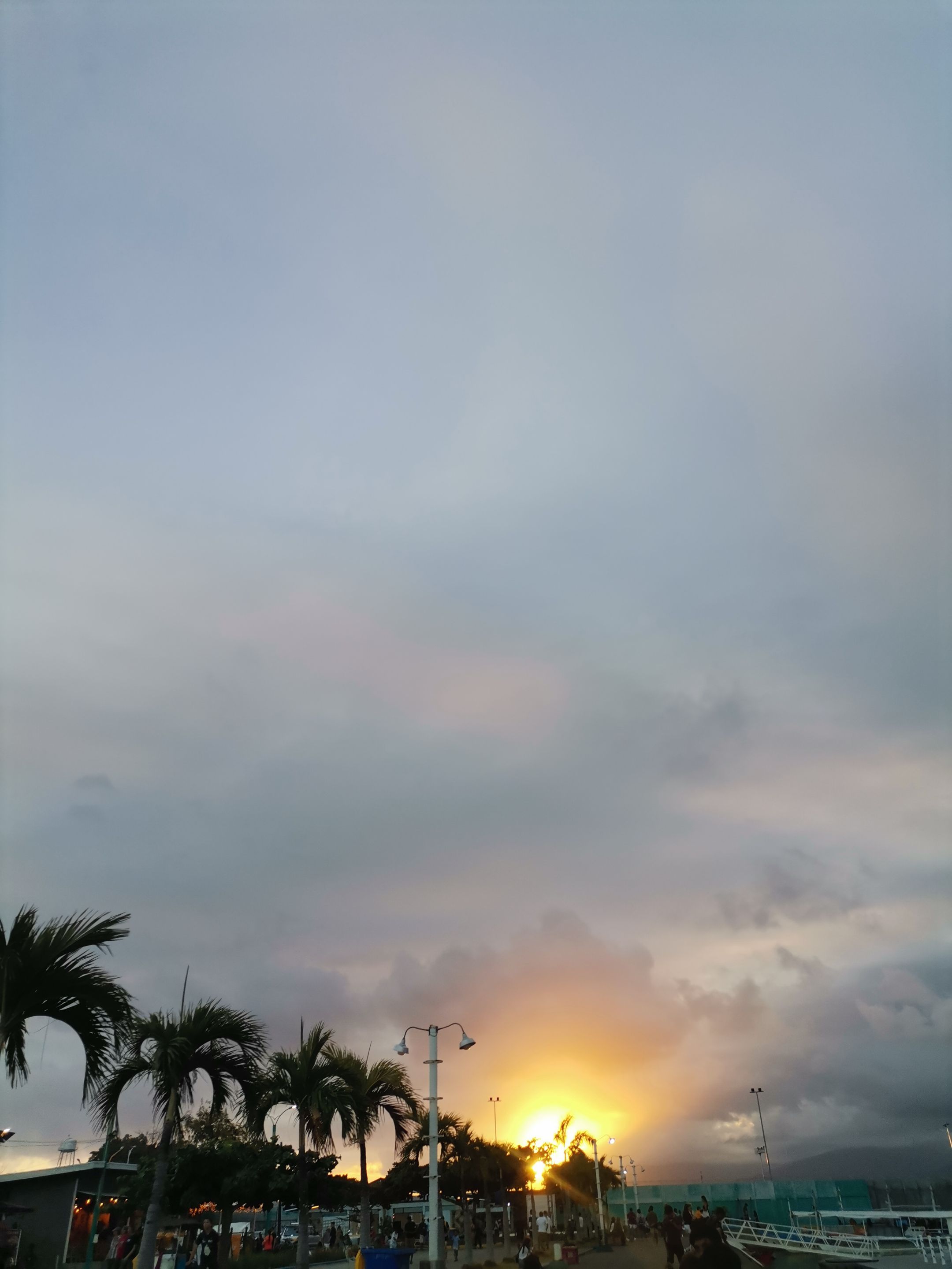 IMG_20240217_180243.jpg