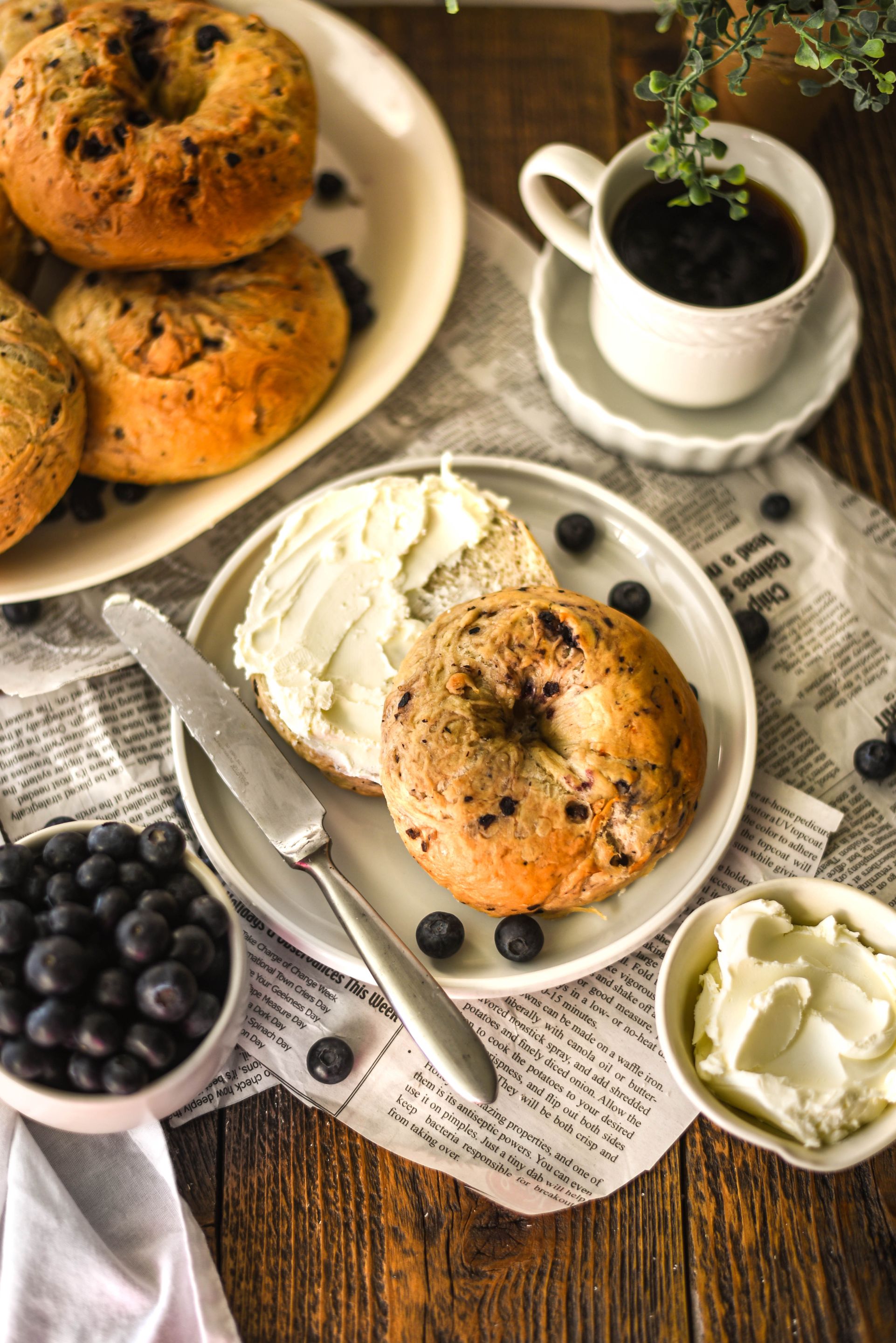 Terre Blueberry Bagels-1-2.jpg
