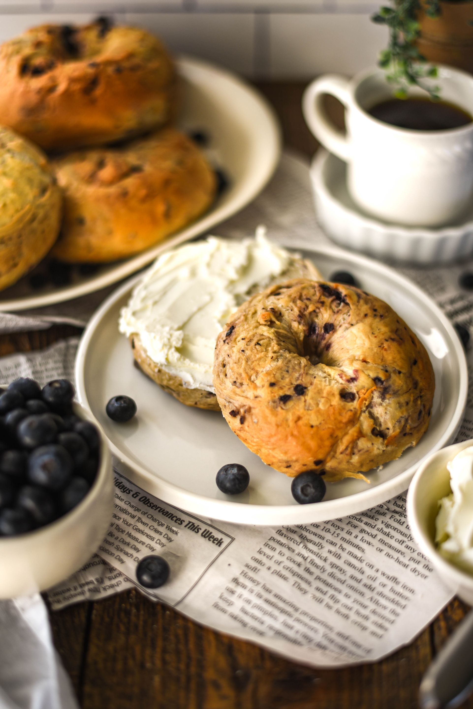 Terre Blueberry Bagels-8.jpg