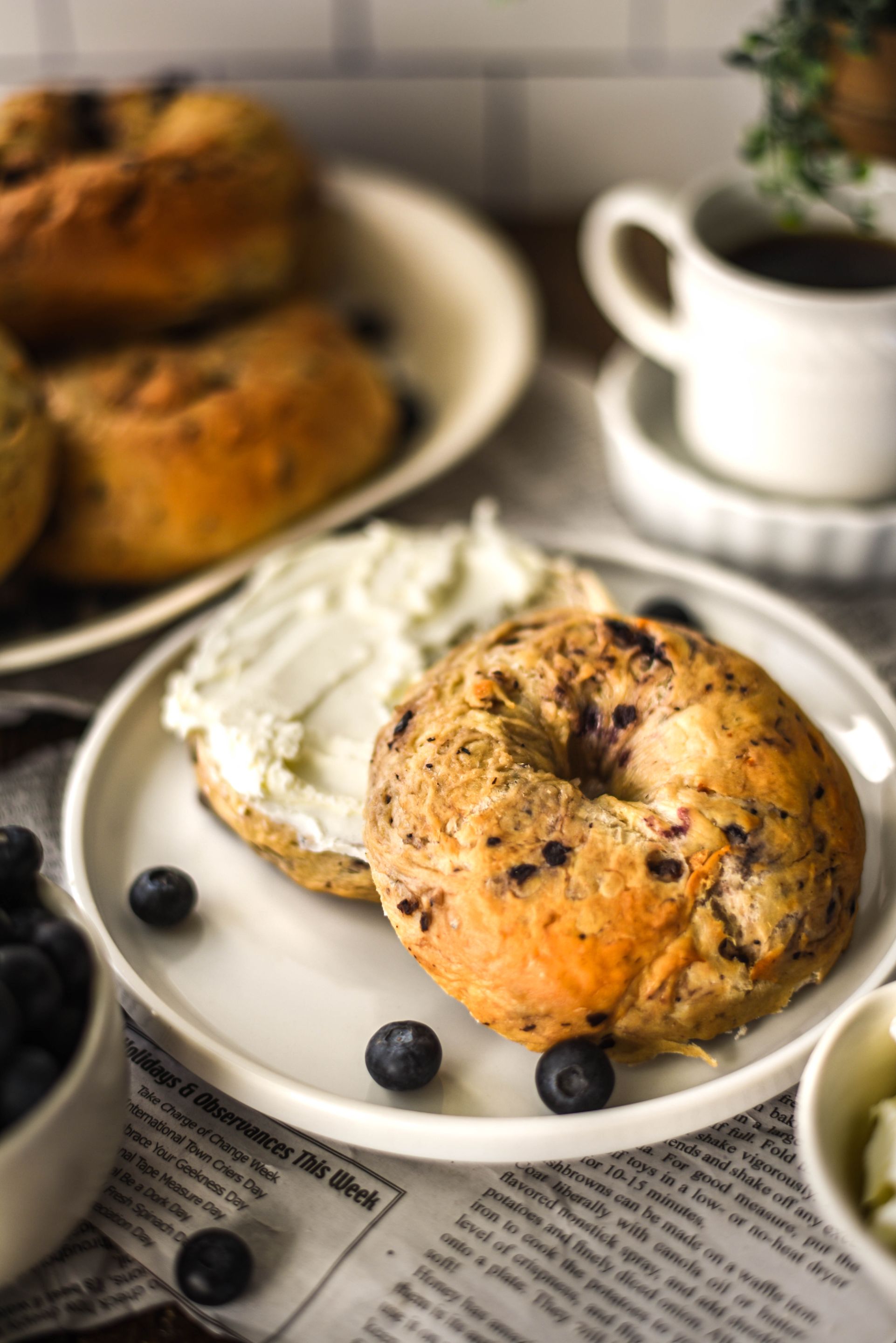 Terre Blueberry Bagels-7.jpg