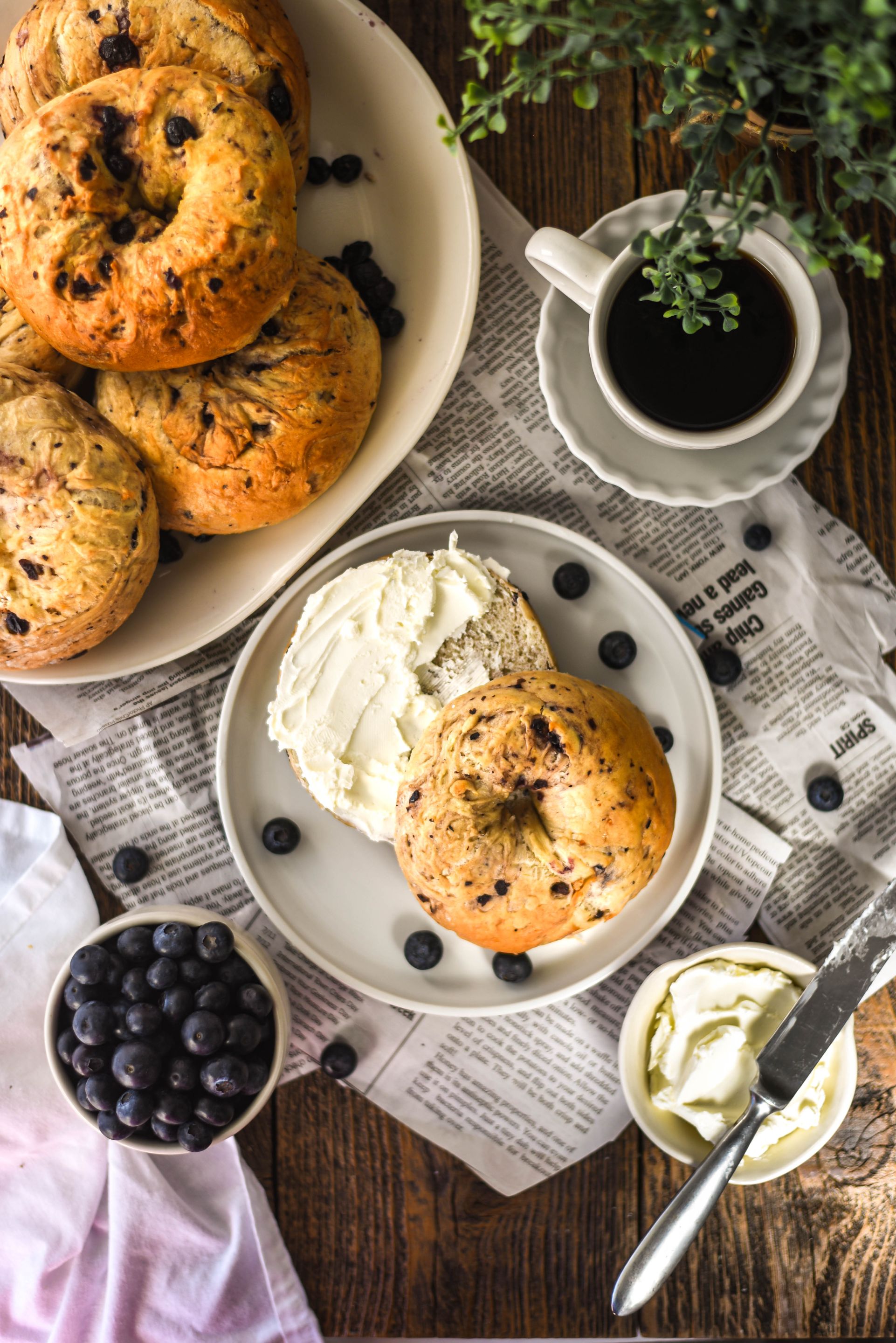 Terre Blueberry Bagels-6.jpg