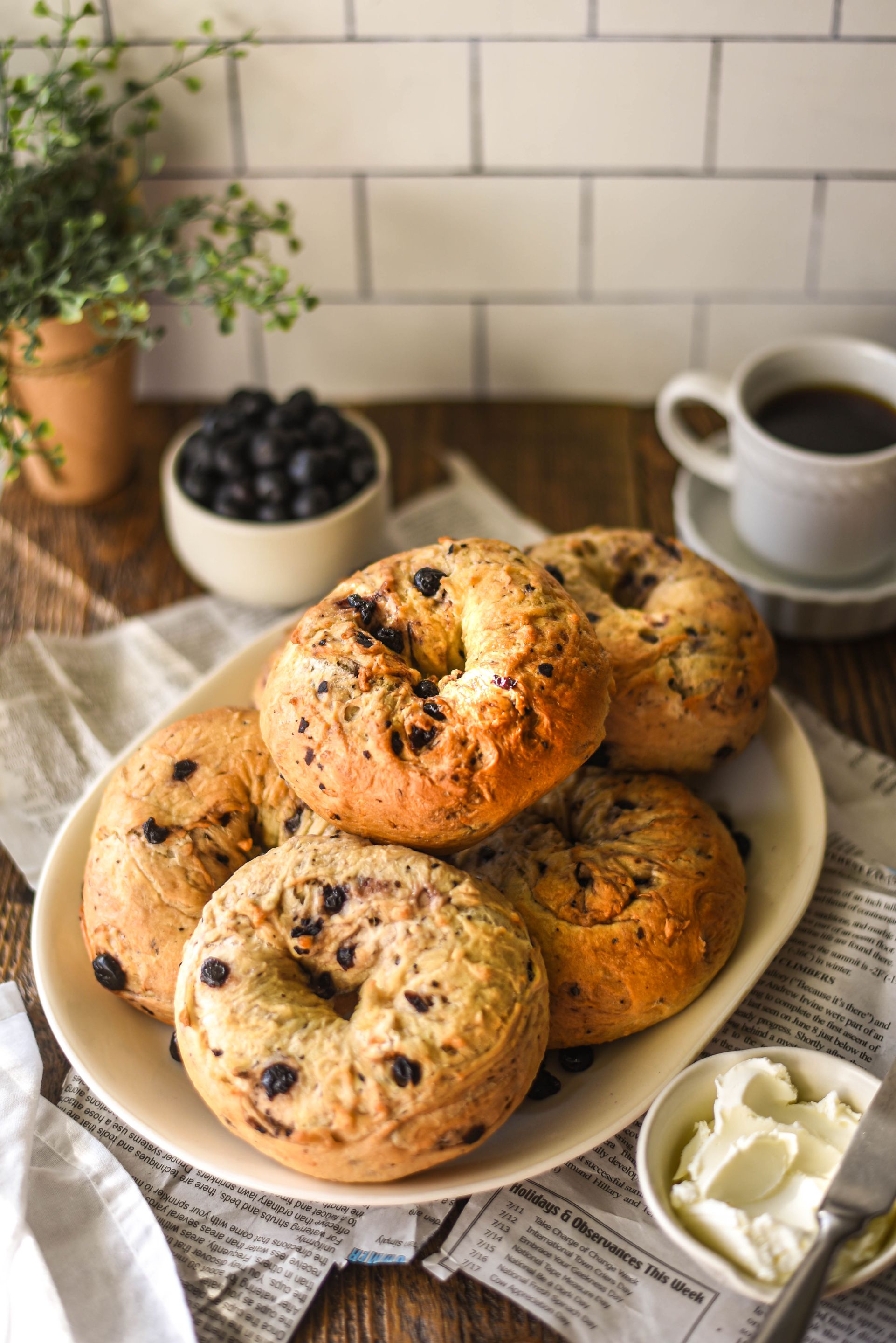 Terre Blueberry Bagels-2.jpg