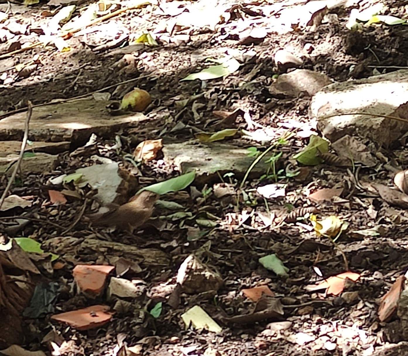 IMG_20250825_144606.jpg