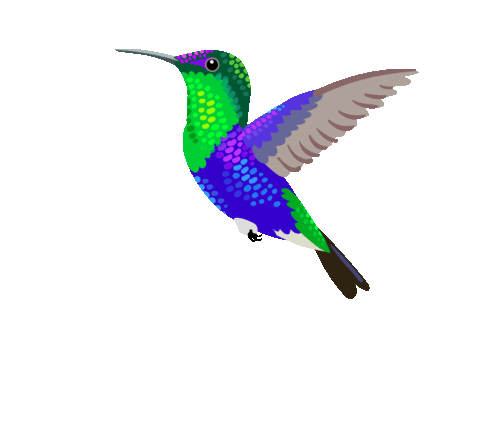 giphy (1).gif