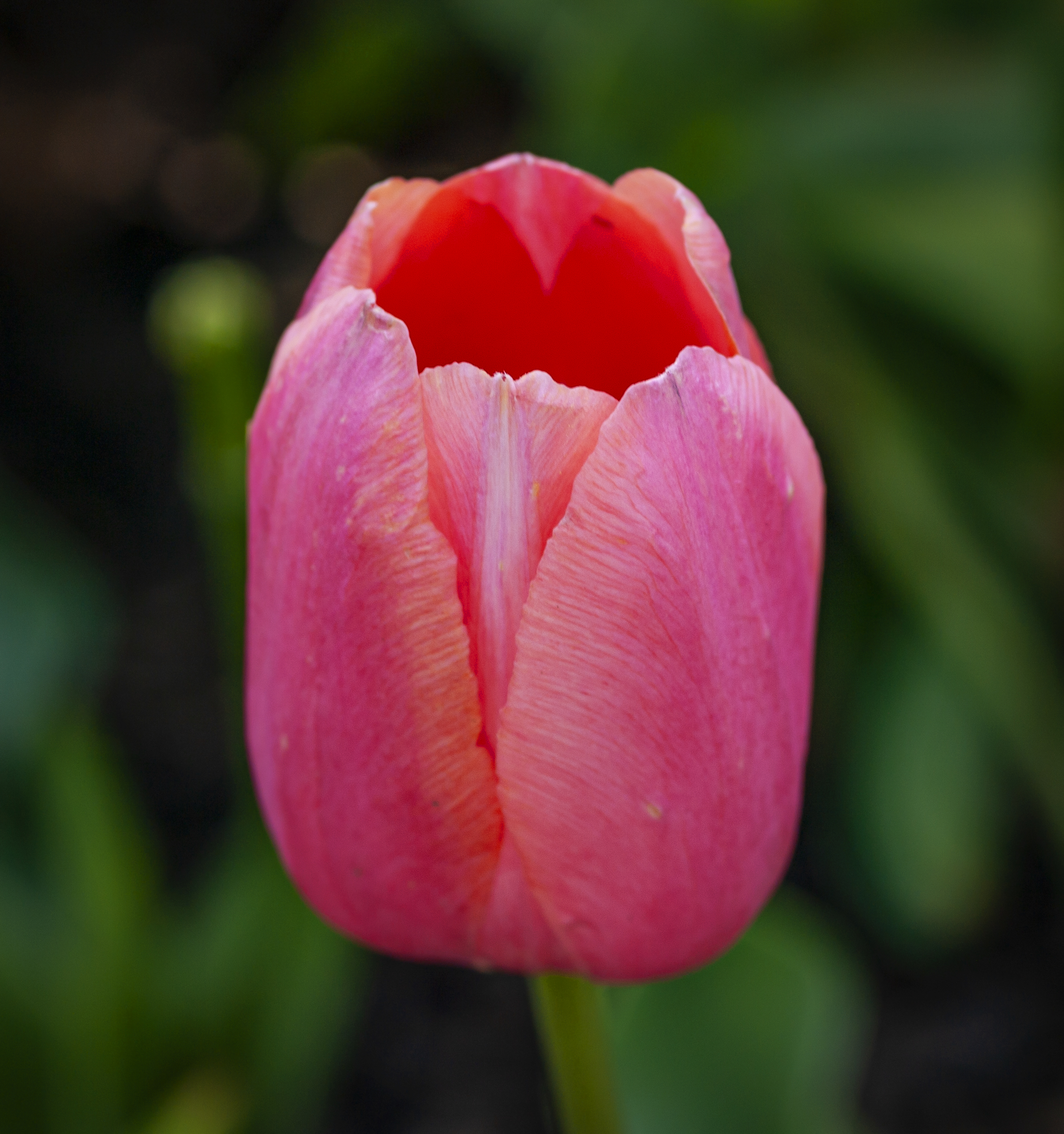 P5157563.jpg