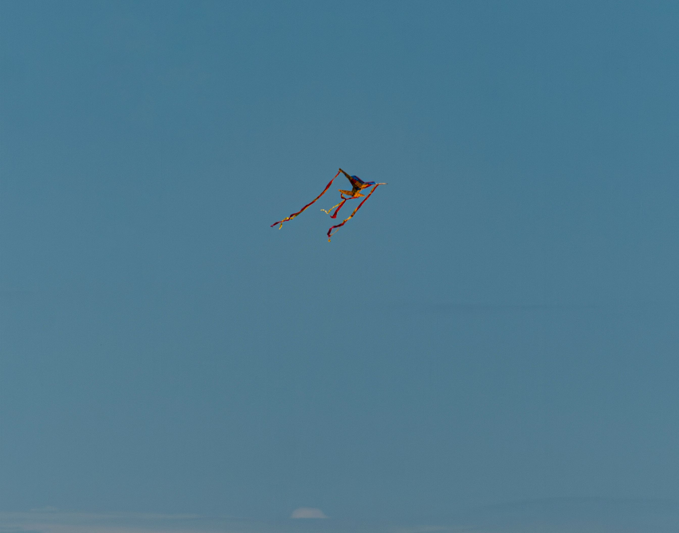 P1013615-Enhanced-NR copy.jpg