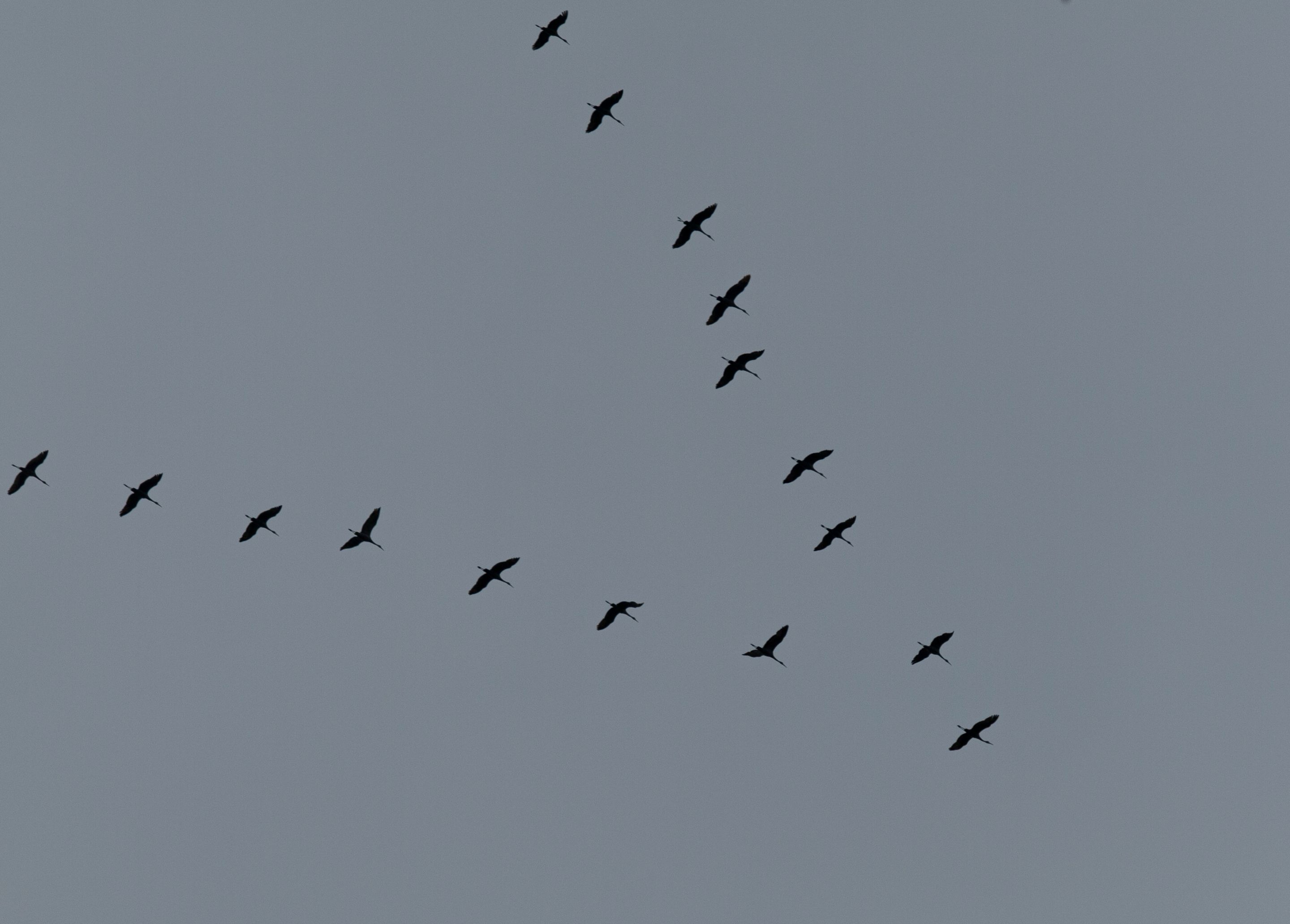 PB137901 copy.jpg
