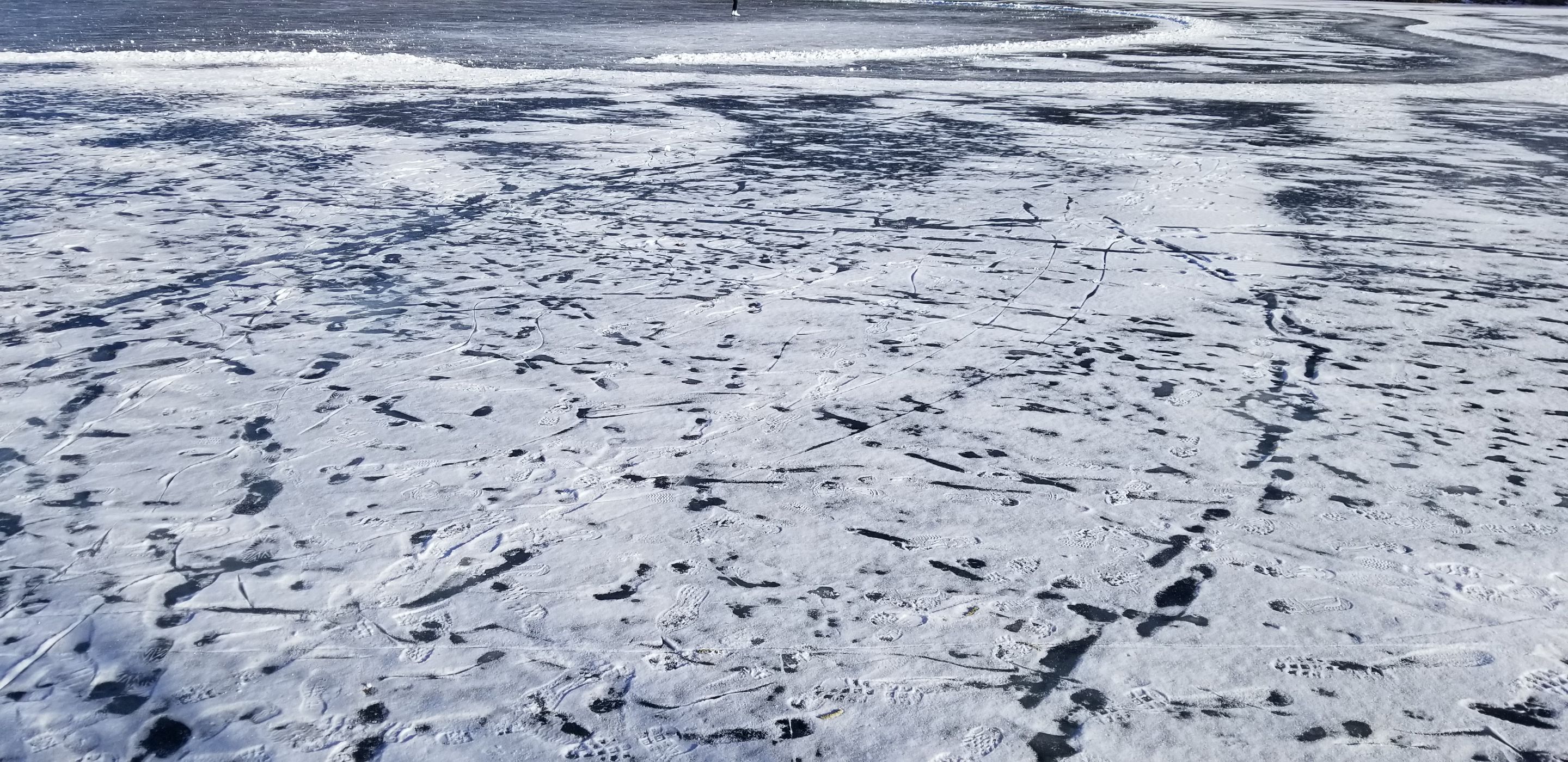 20250126_145959.jpg