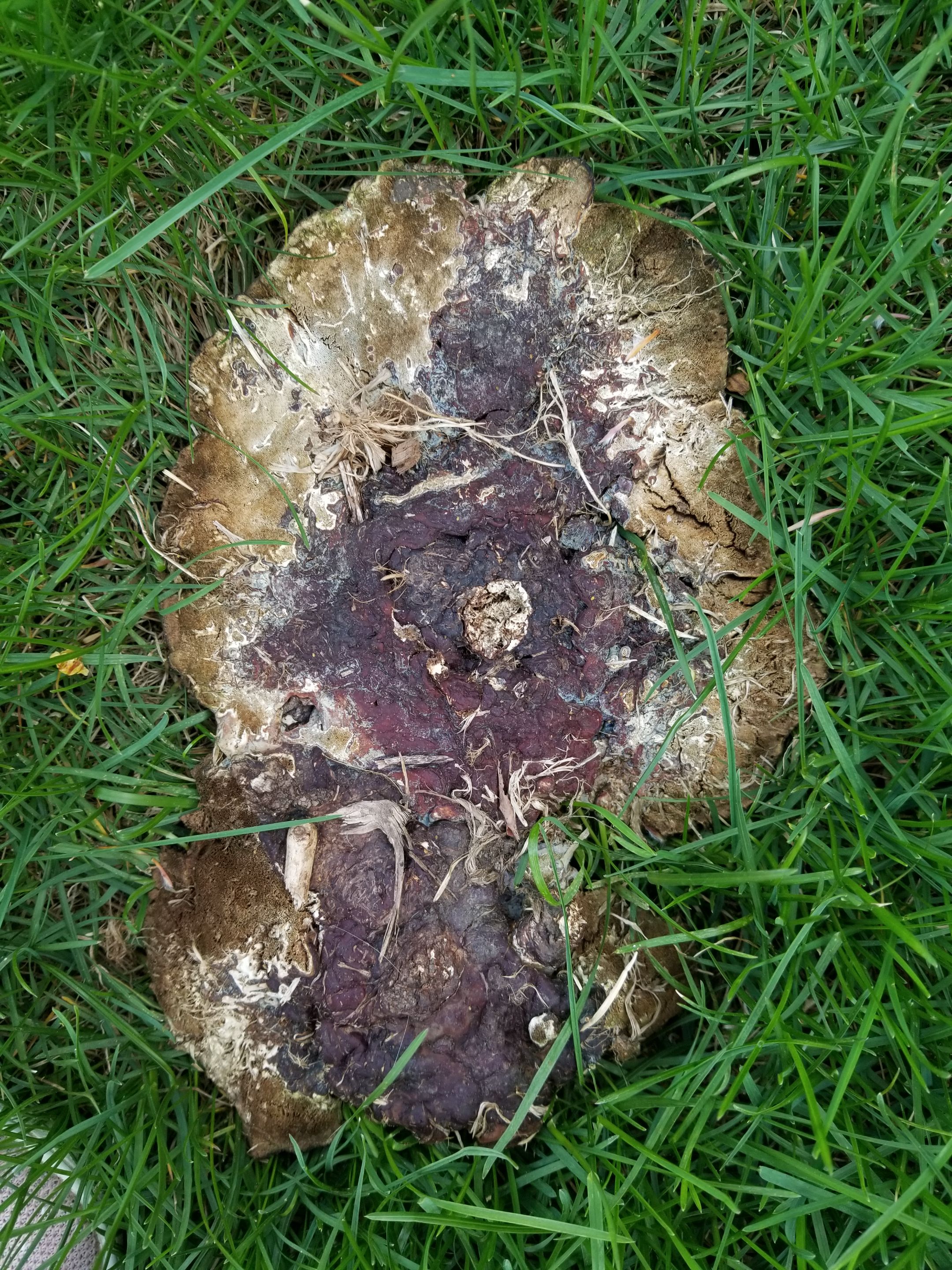 20250428_185238.jpg