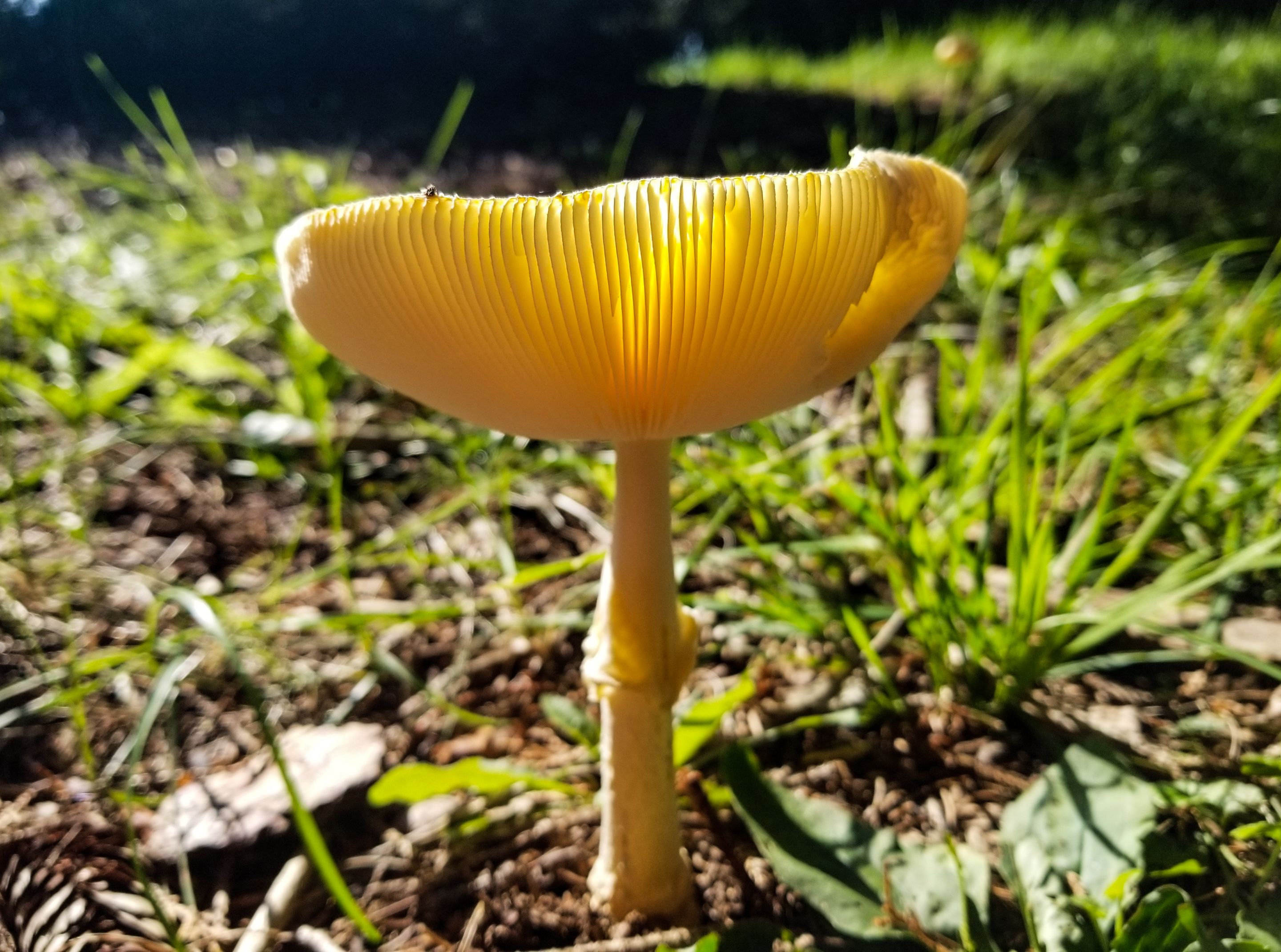 PSX_20230930_185124.jpg