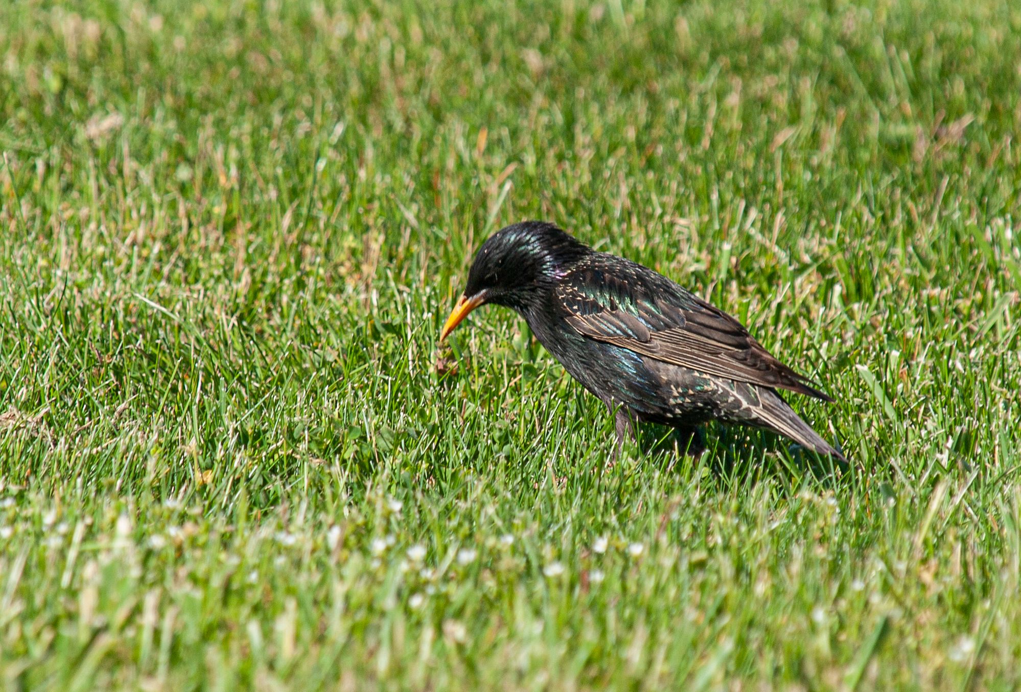 P1013430 copy.jpg