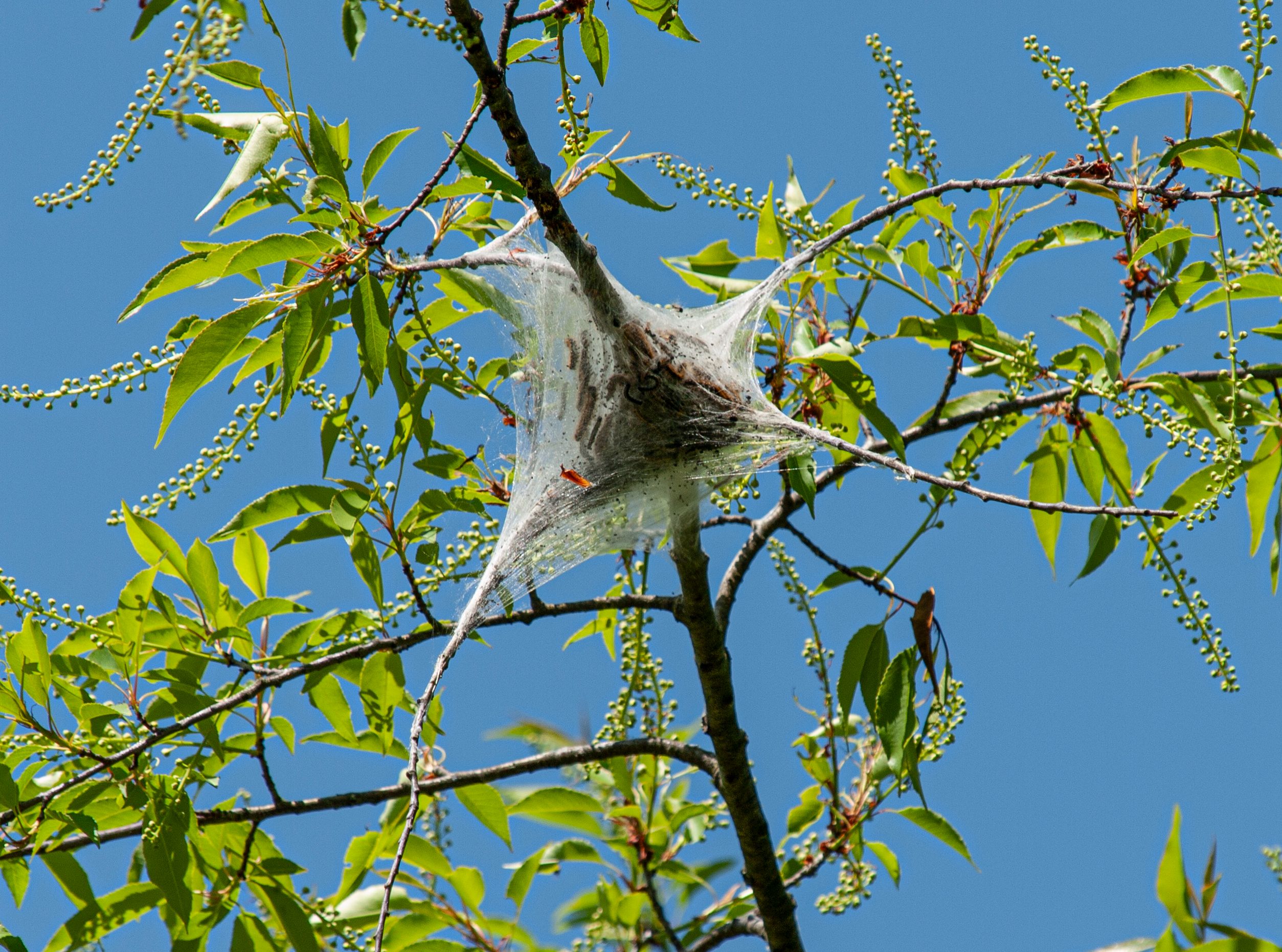 P1013344 copy.jpg