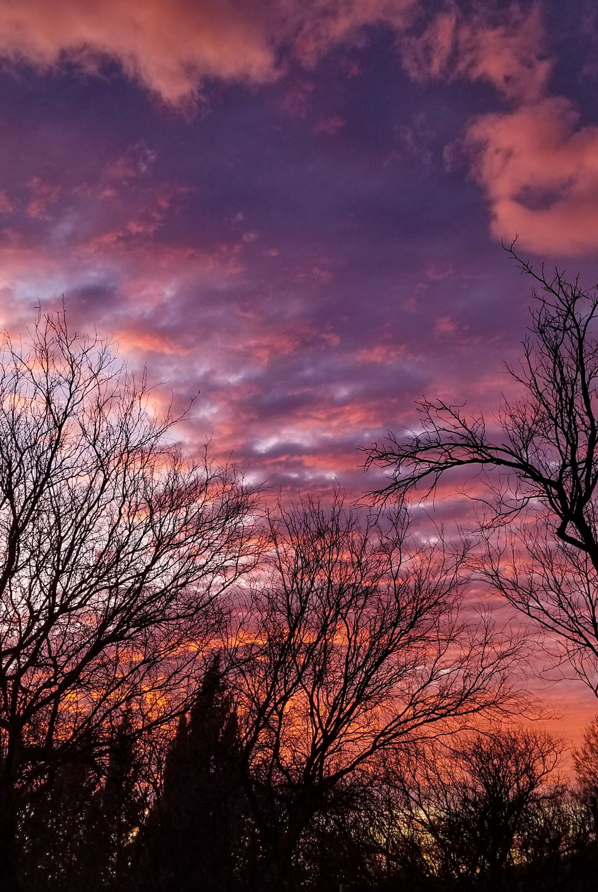 PSX_20221013_070630.jpg