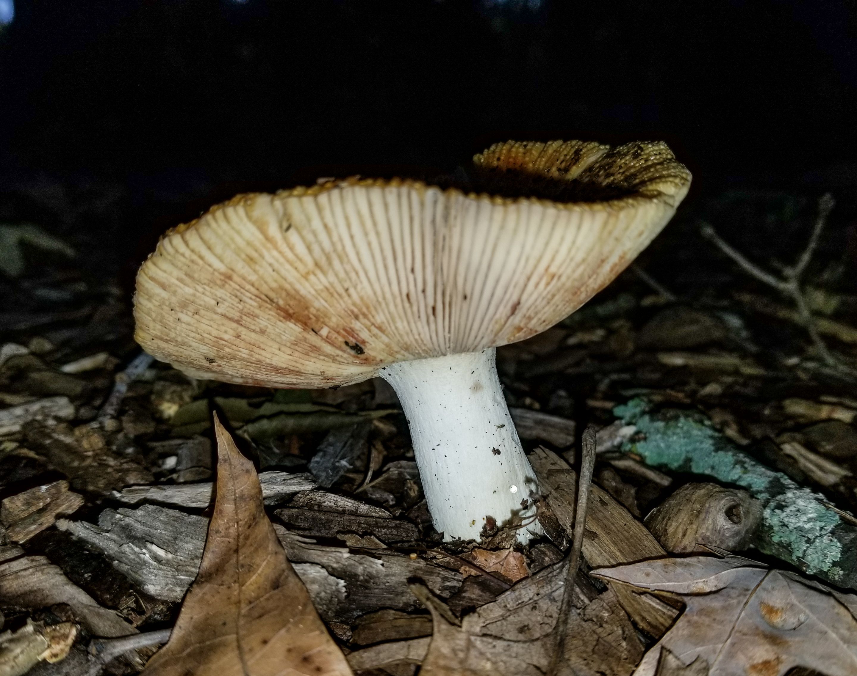 PSX_20230908_090512.jpg
