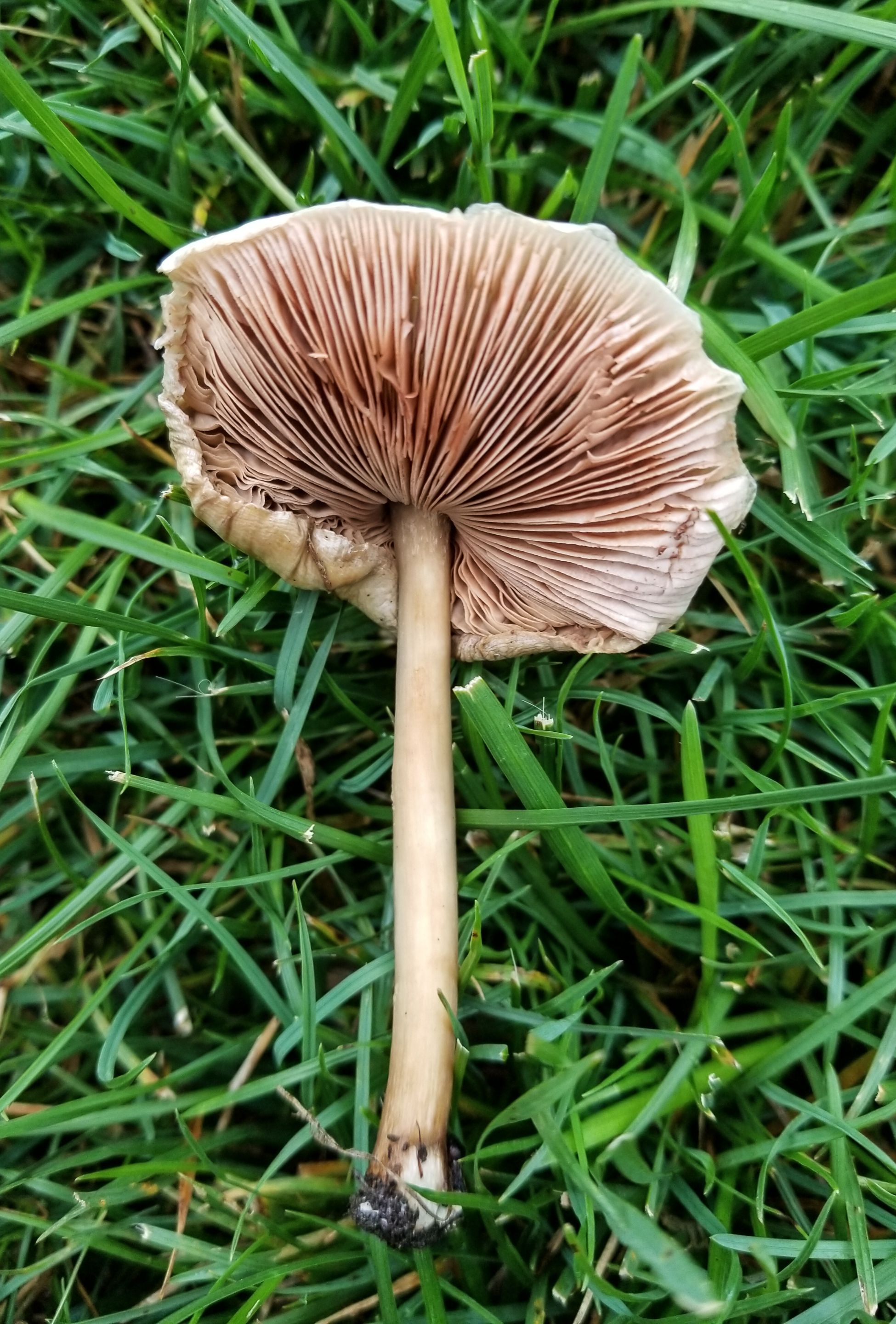 PSX_20230908_090834.jpg