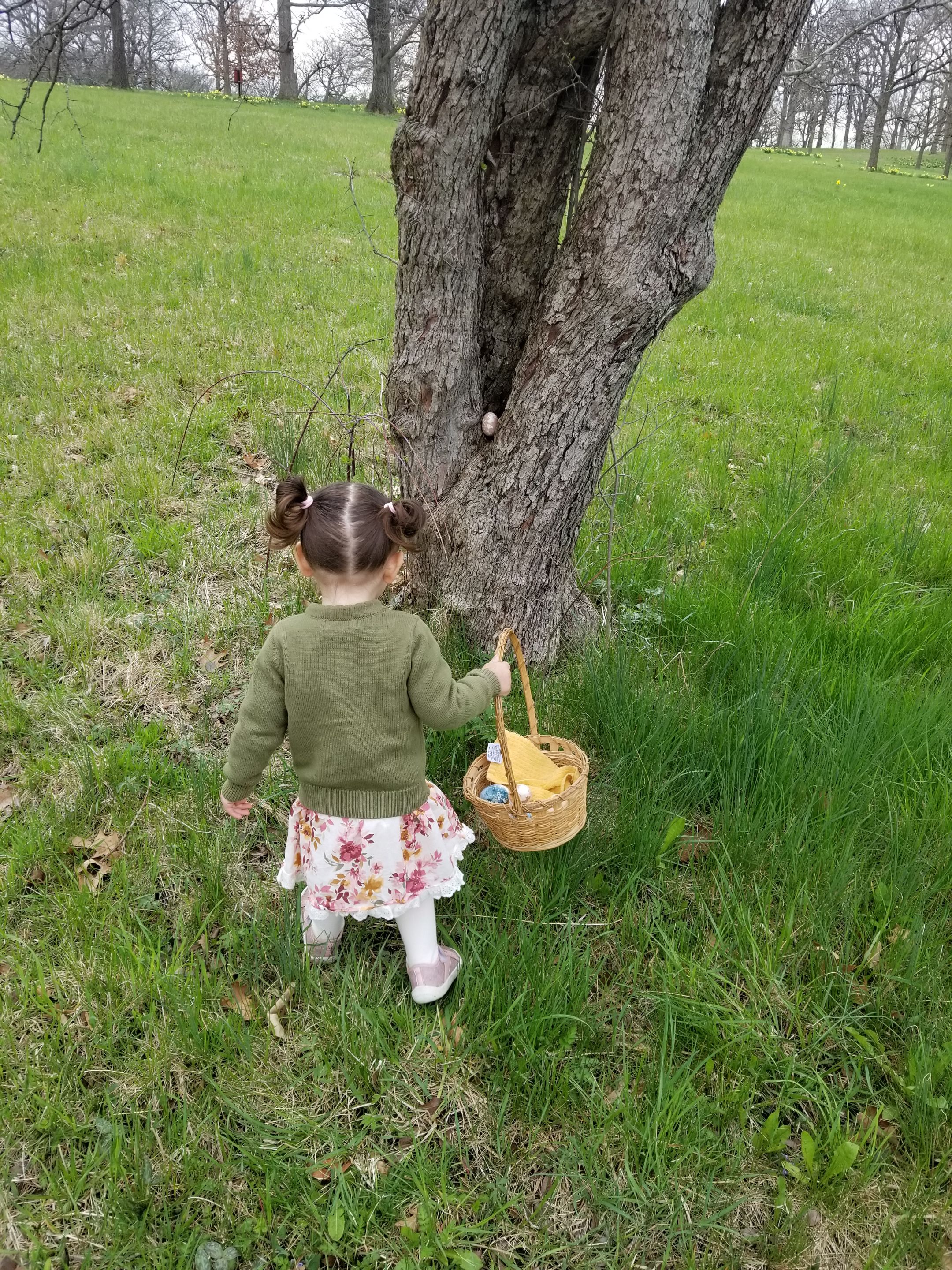 20250420_093147.jpg