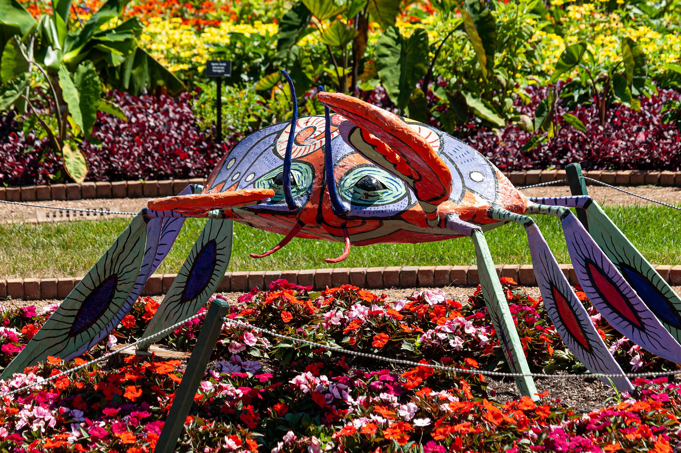P7107297 copy.jpg
