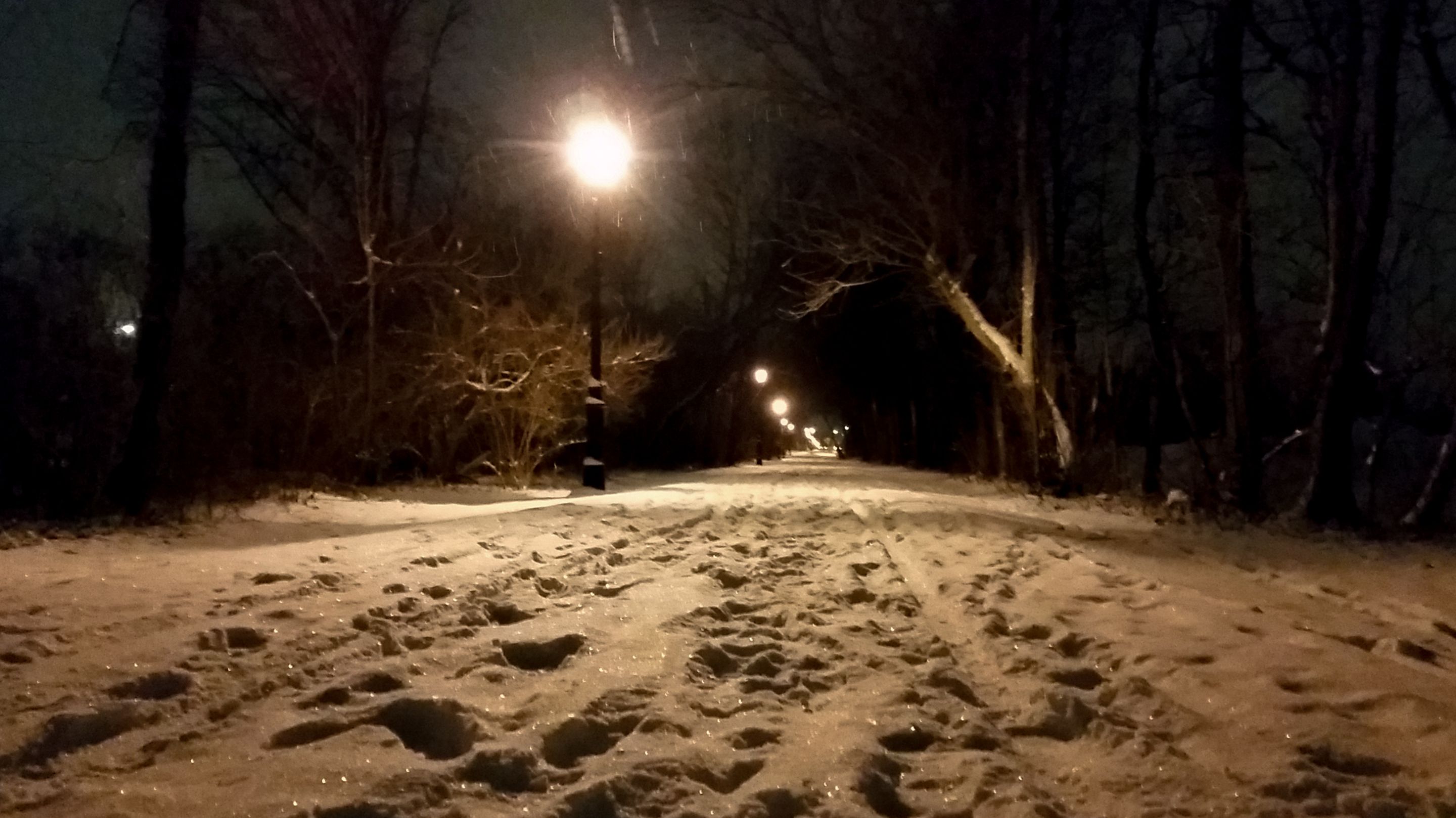 path.jpg