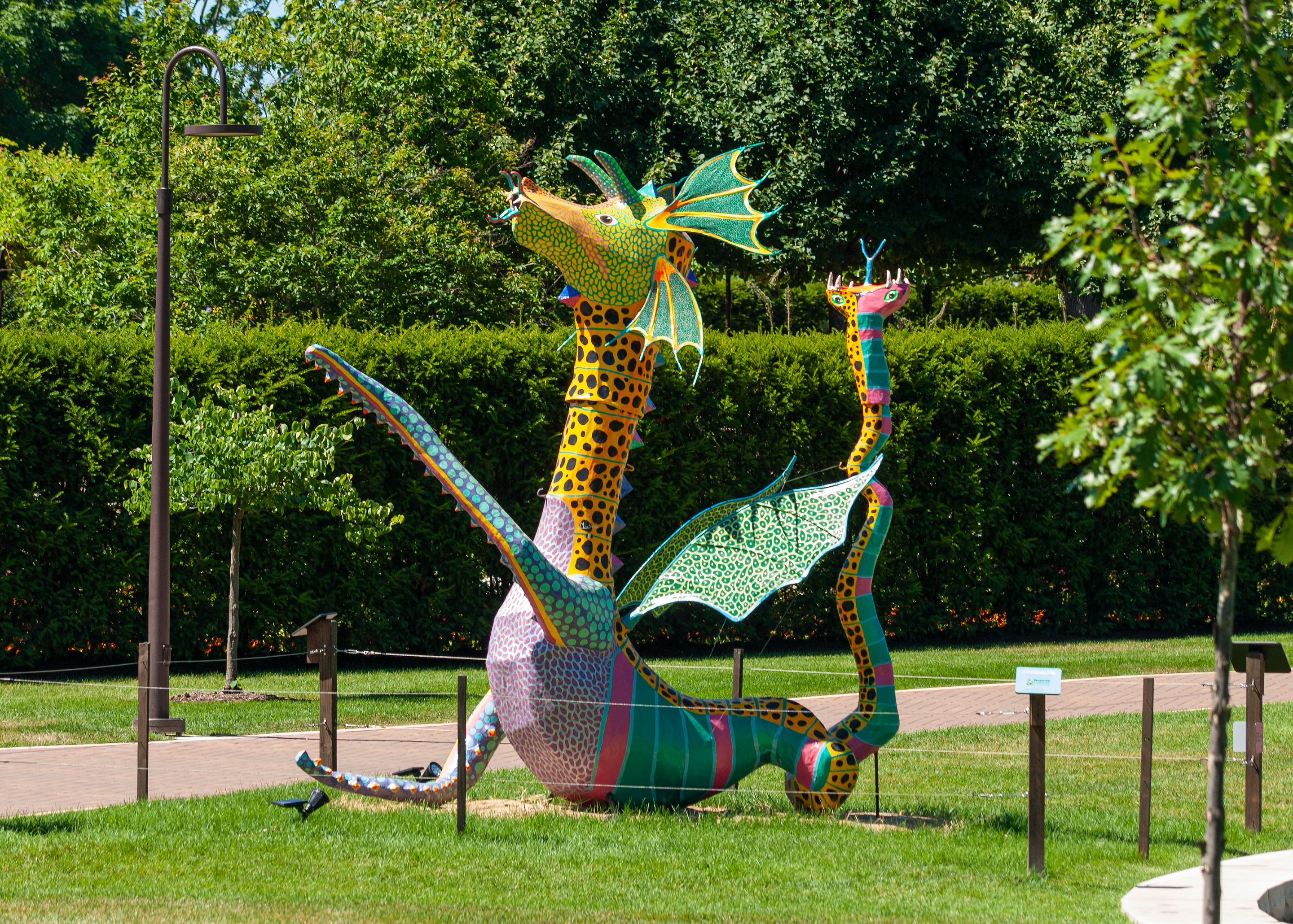 P7107286 copy.jpg