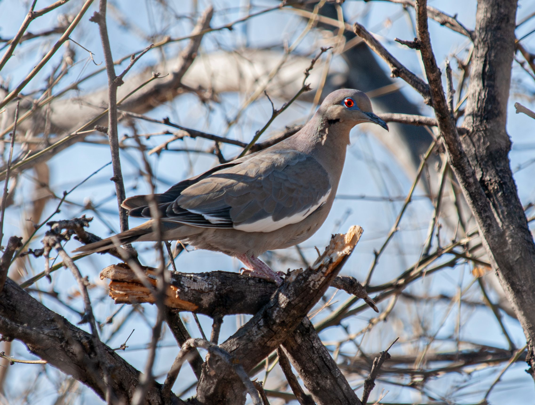 P1012869-Enhanced-NR copy.jpg