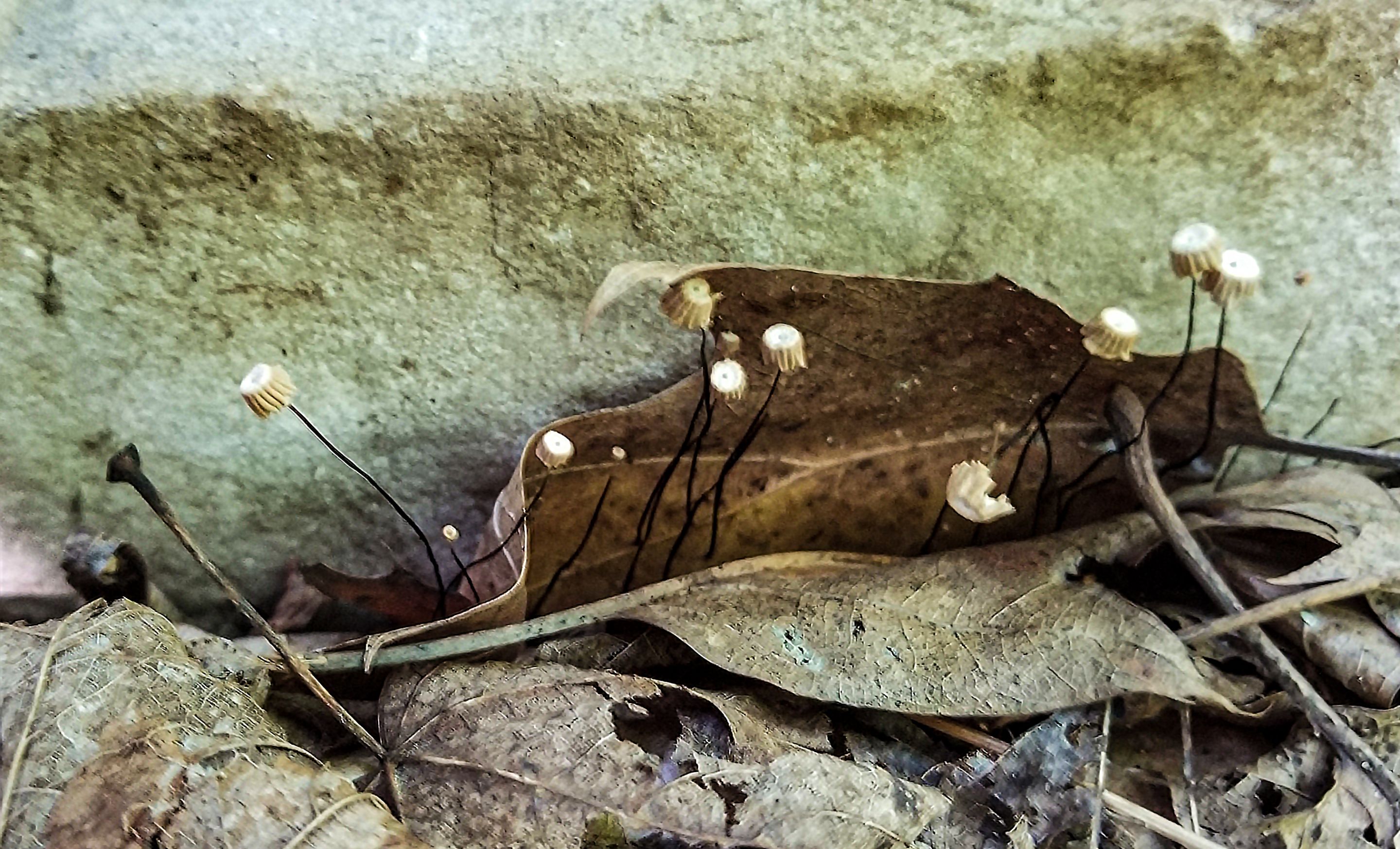 20220917_171313 copy.jpg
