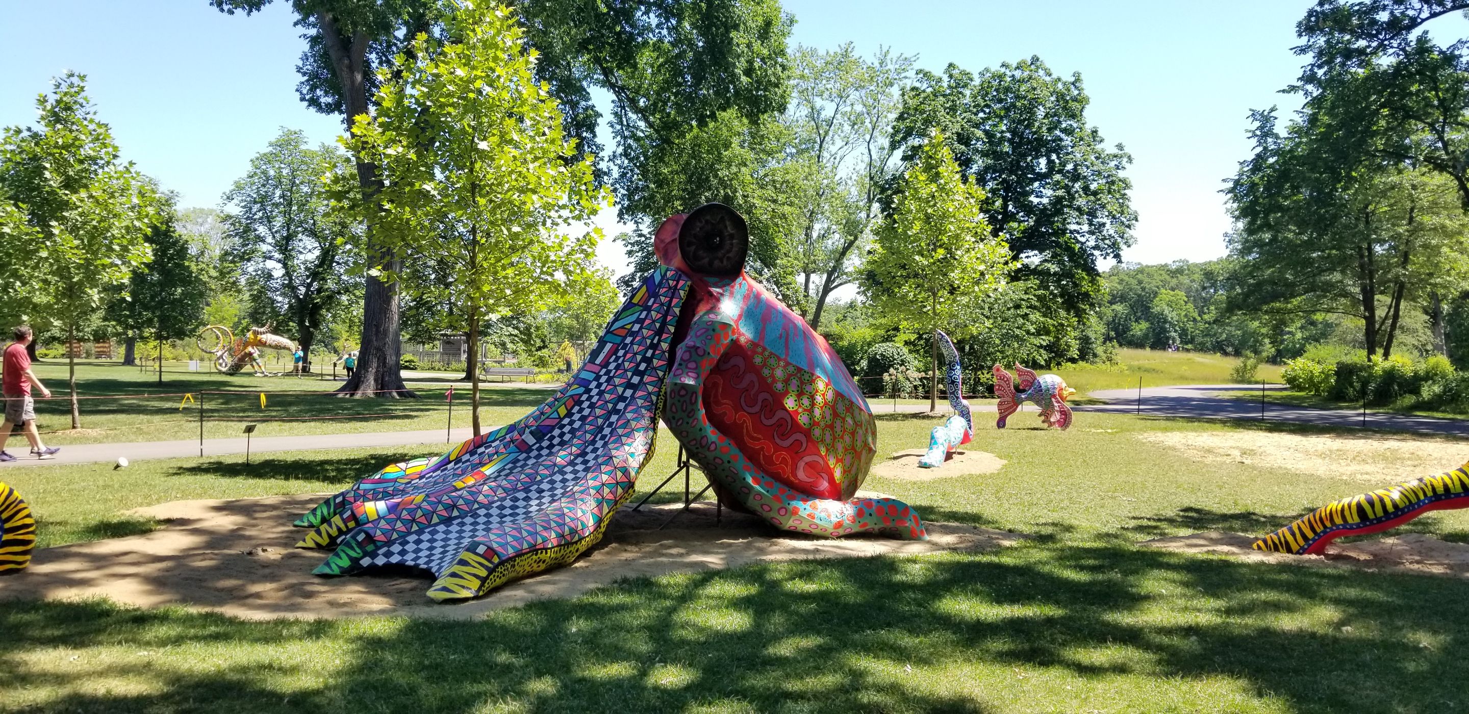 20220710_113331.jpg