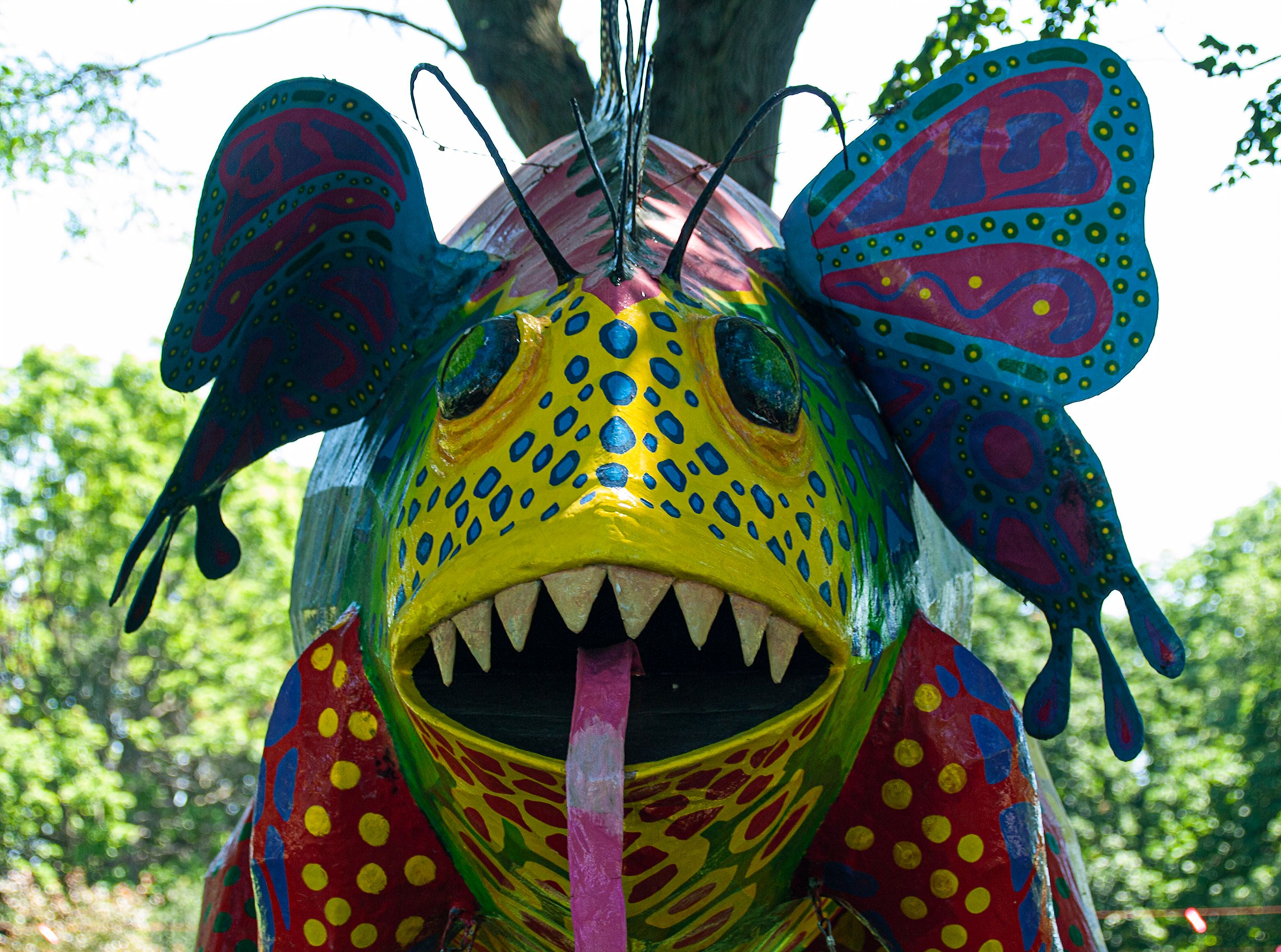 P7107288 copy.jpg