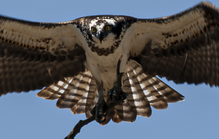 P1013327-Enhanced-NR copy.jpg